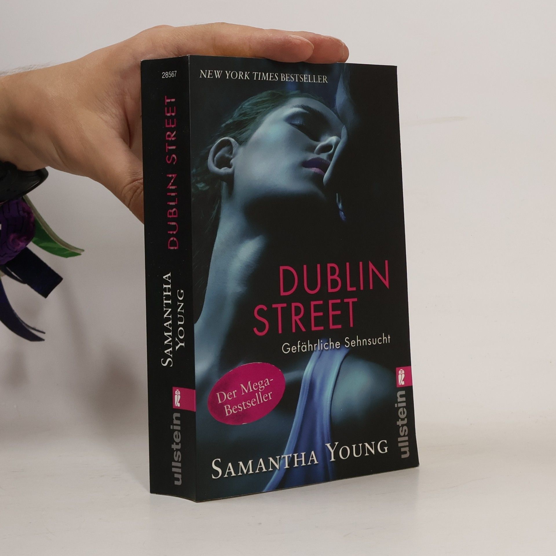 Samantha Young Dublin Street: Gefährliche Sehnsucht
