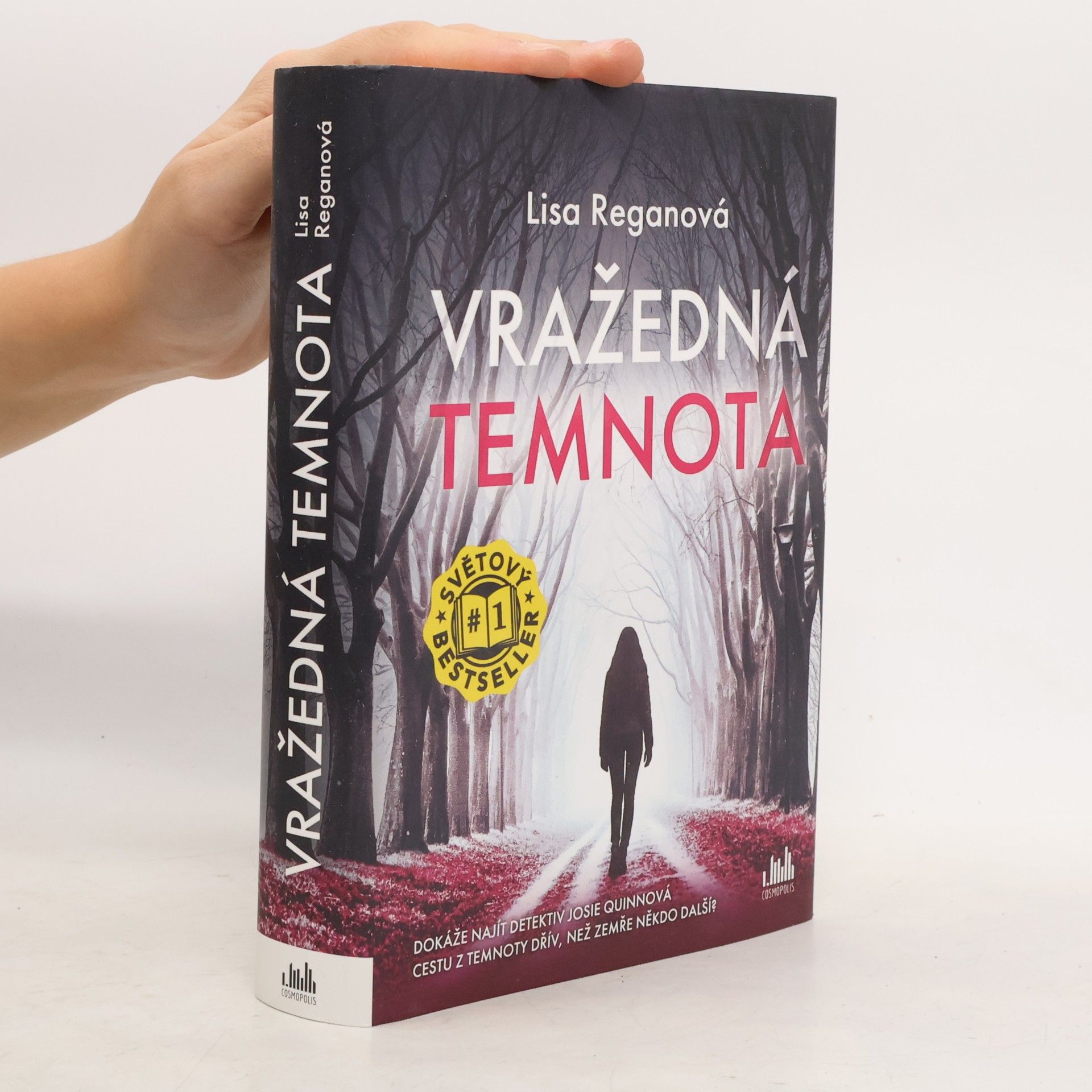 Lisa Regan Vražedná temnota