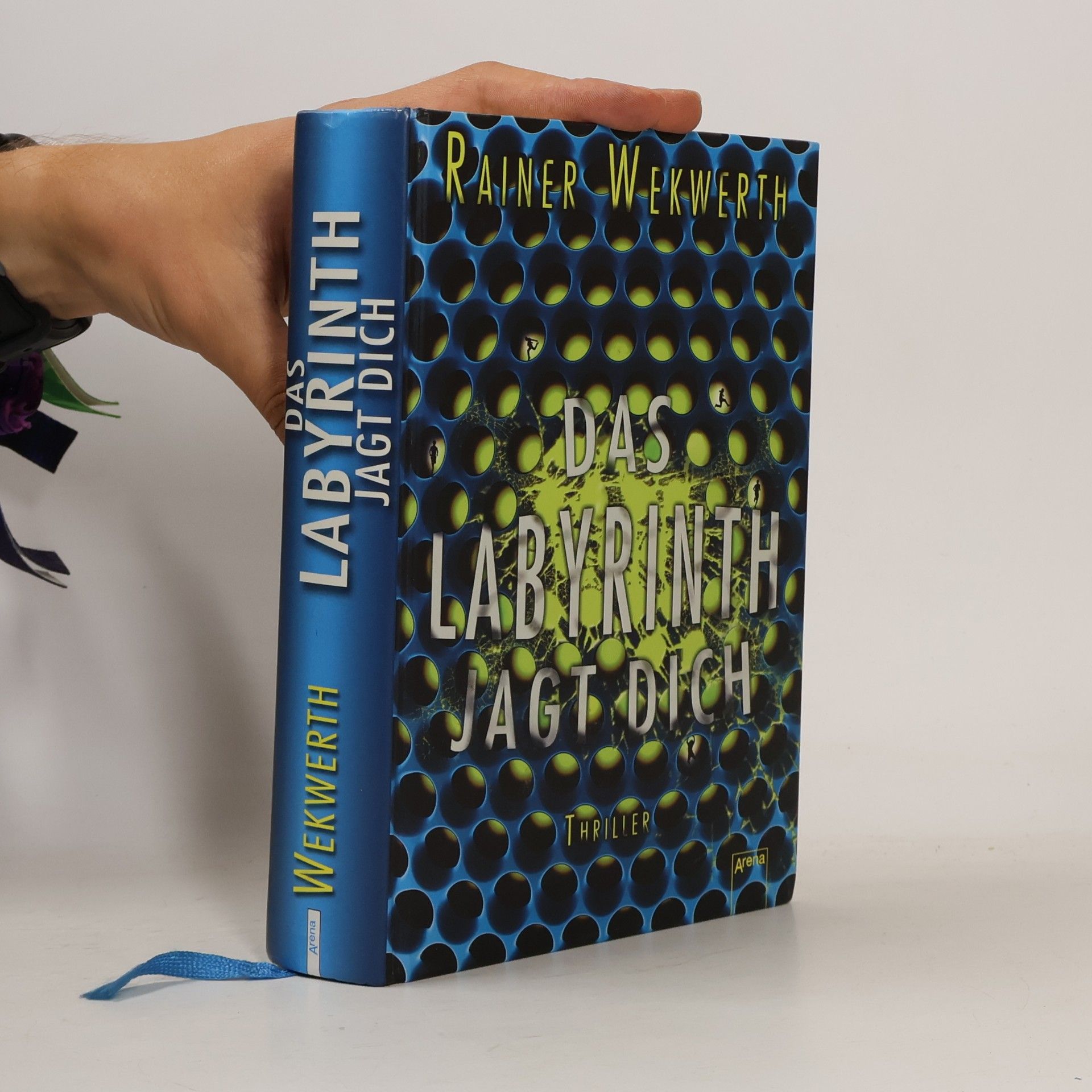 Rainer Wekwerth Das Labyrinth jagt dich