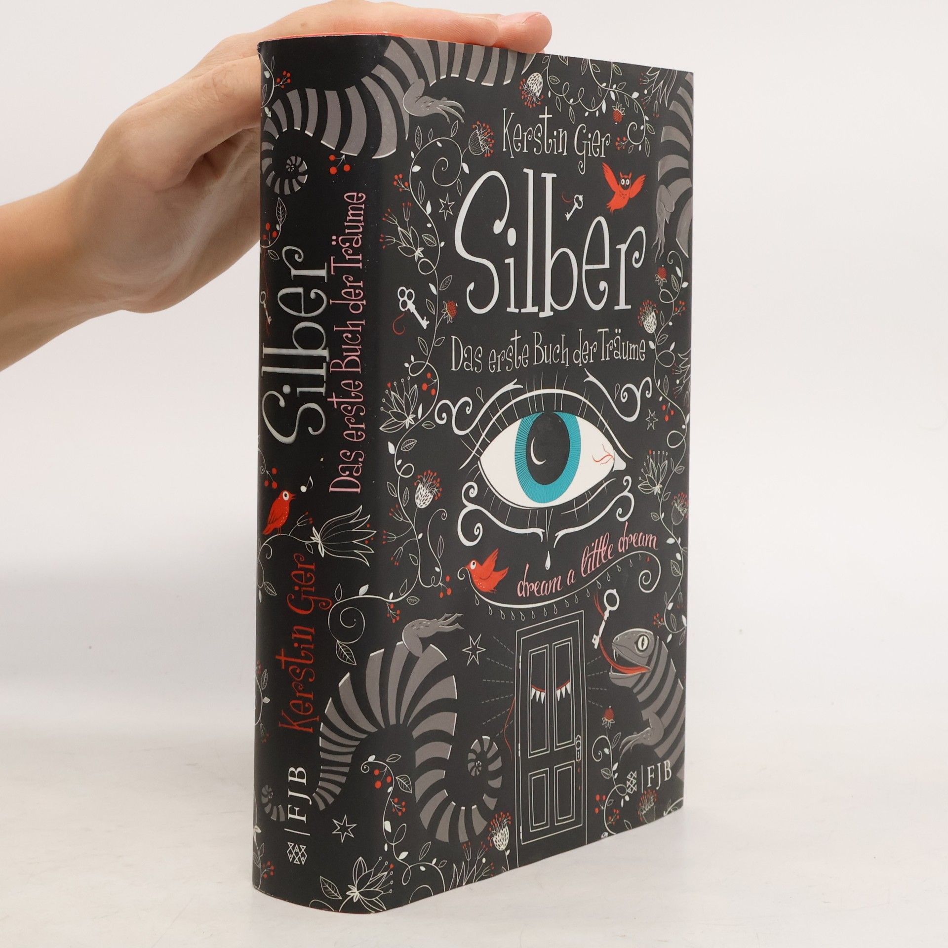 Kerstin Gier Silber - Das erste Buch der Träume