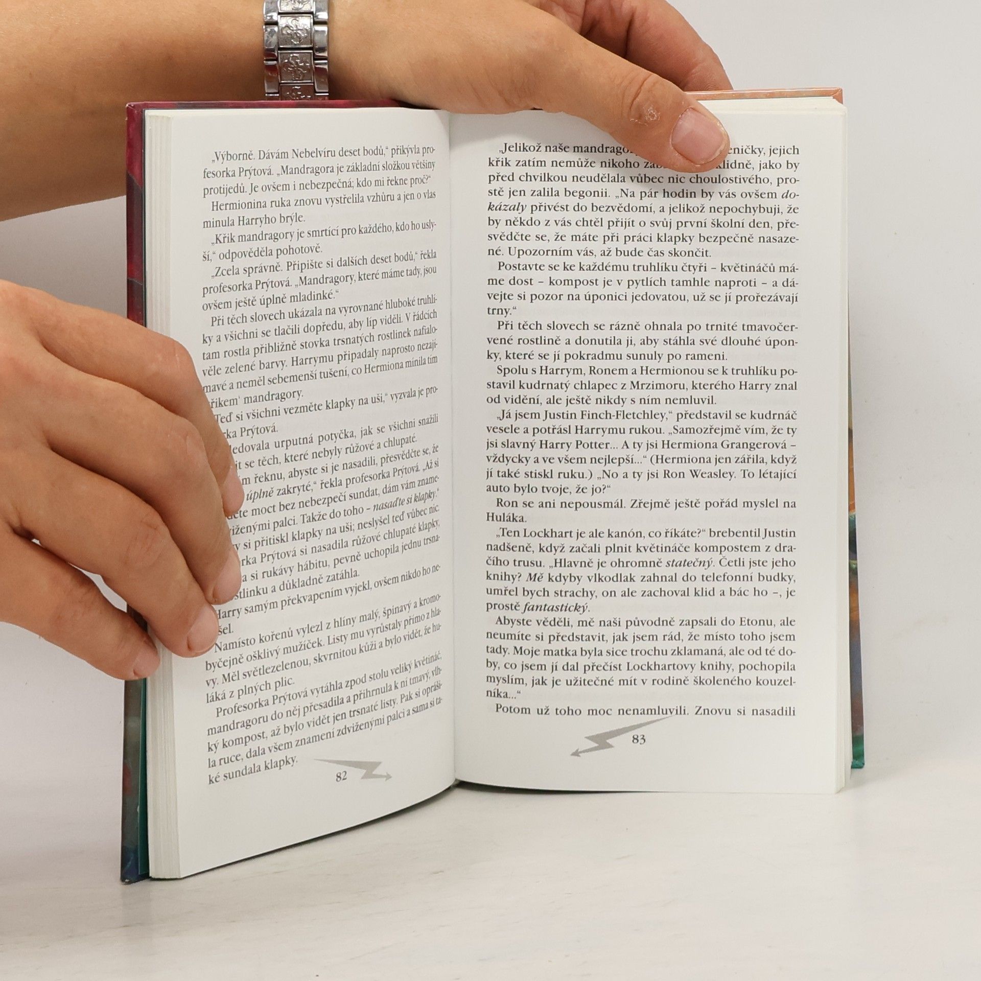 J. K. Rowling Harry Potter a Tajemná komnata