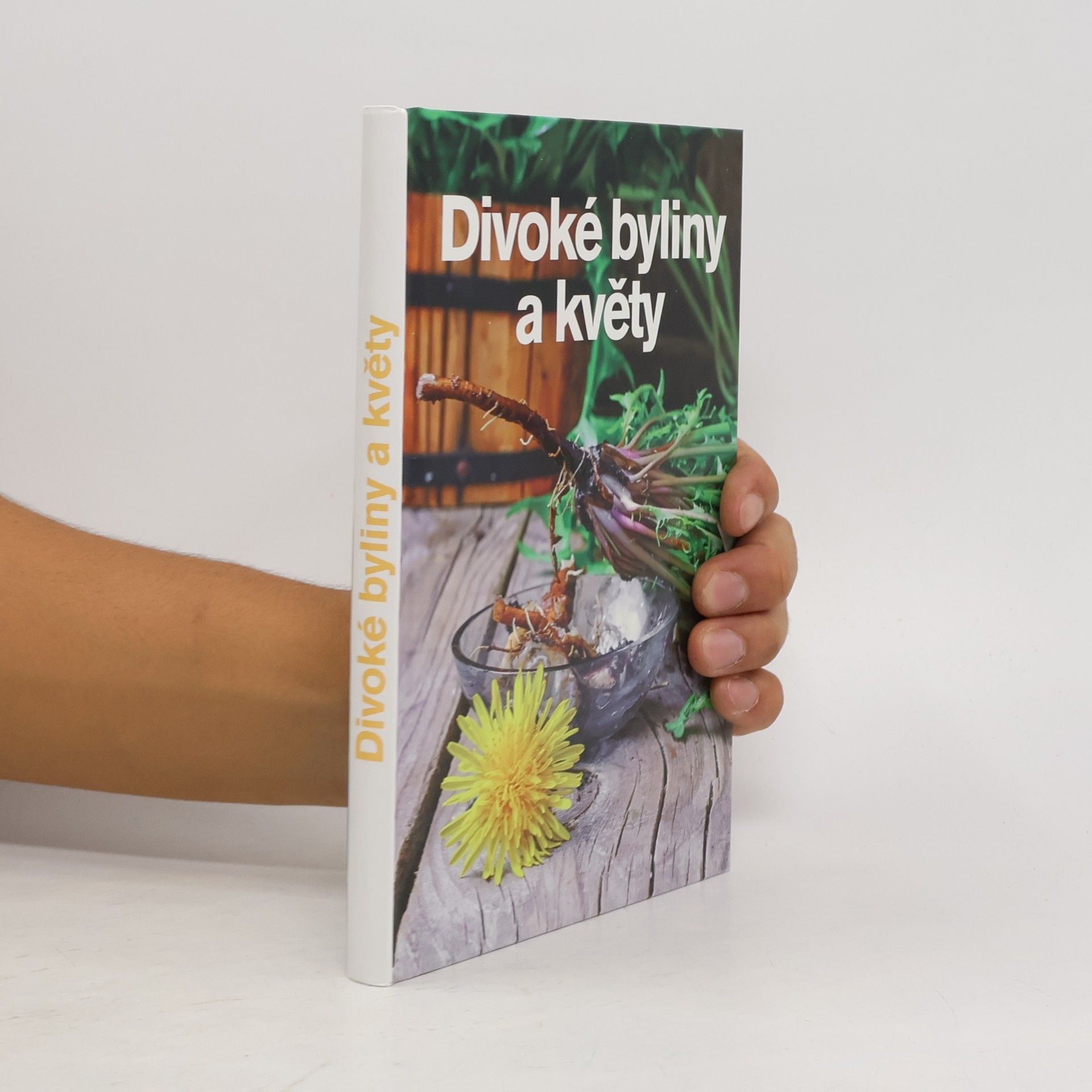 Andrea Malá Divoké byliny a květy