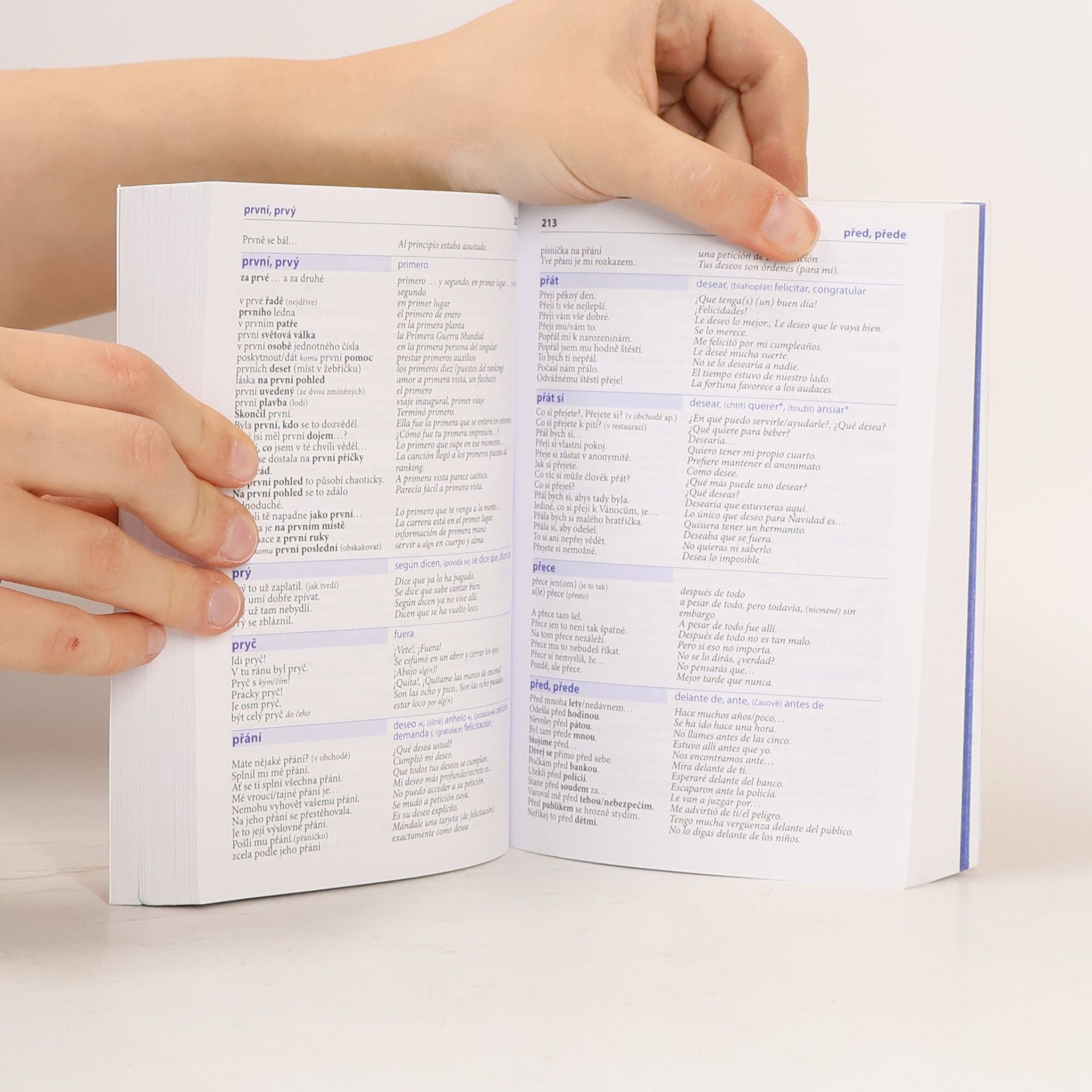 Autorenkollektiv Česko-španělský mluvník