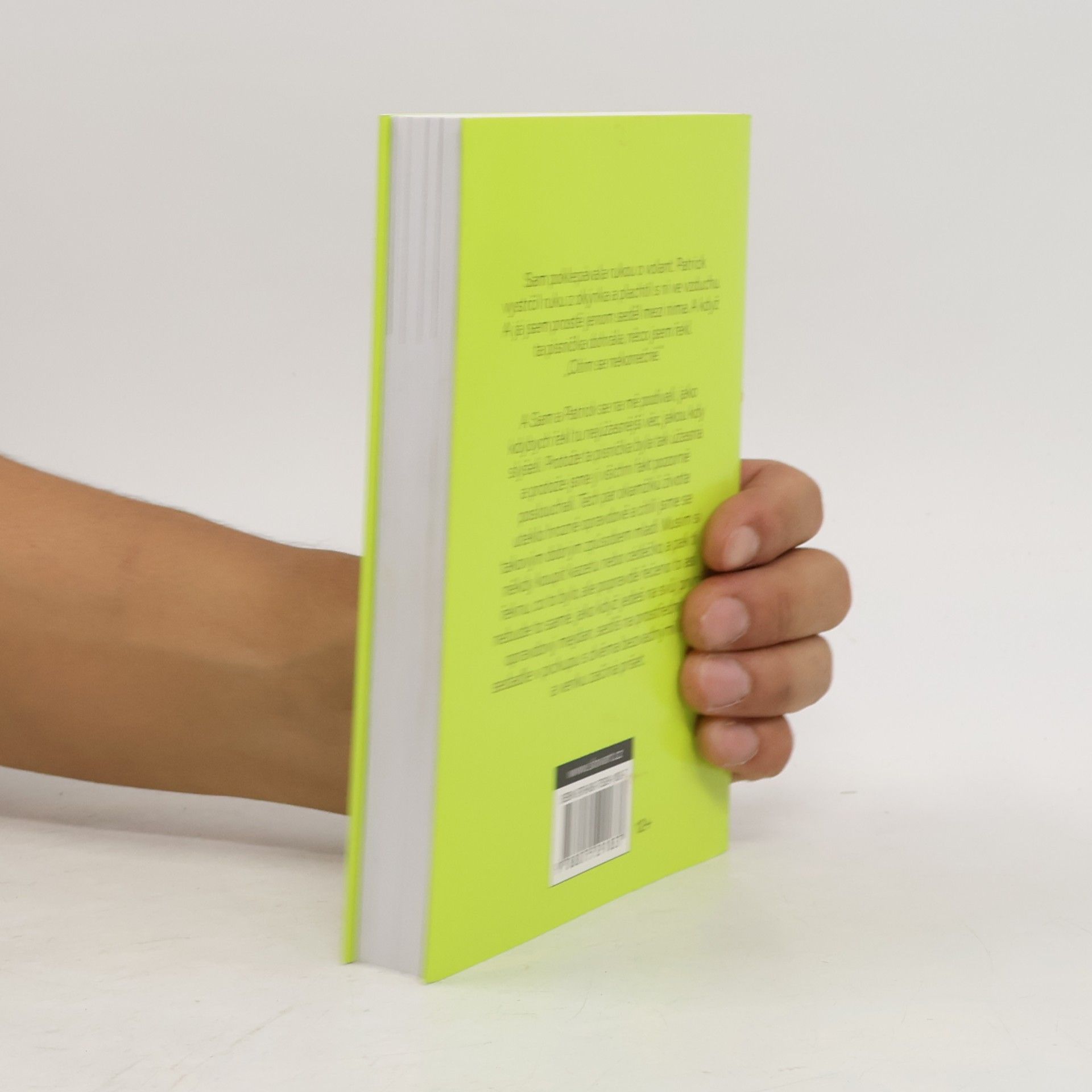 Stephen Chbosky Ten, kdo stojí v koutě