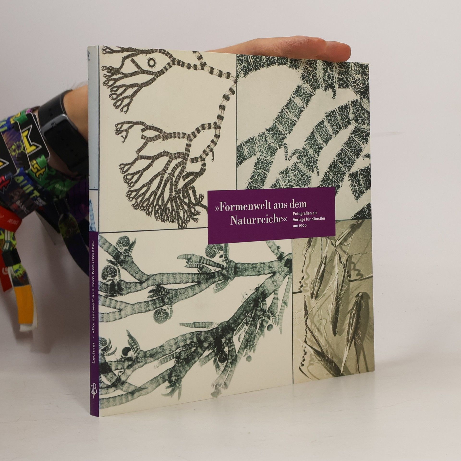 Astrid Lechner Martin Gerlachs "Formenwelt aus dem Naturreiche"