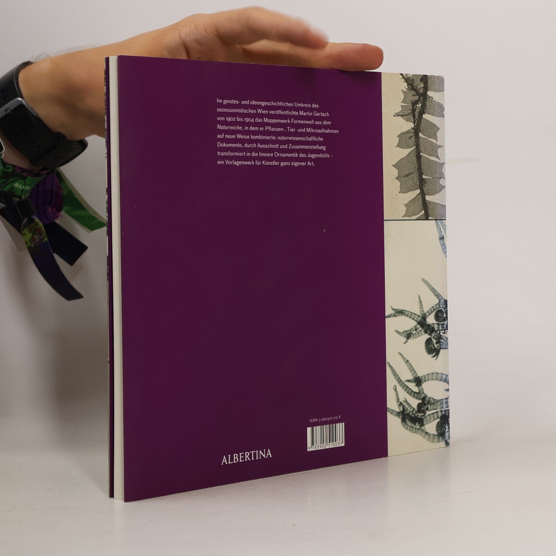 Astrid Lechner Martin Gerlachs "Formenwelt aus dem Naturreiche"