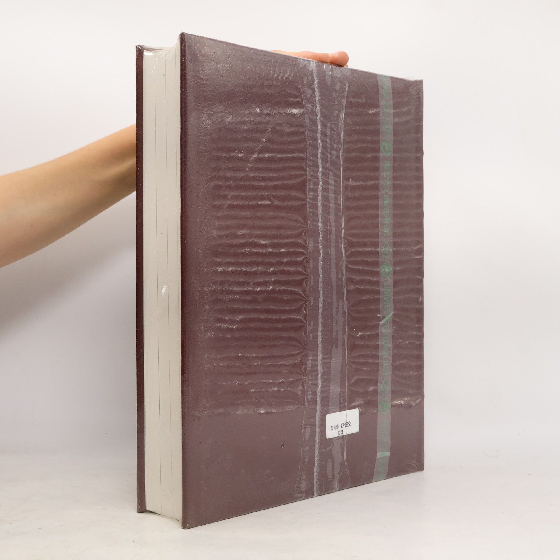 Antonia Meiners Chronik-Bibliothek des 20. Jahrhunderts 22. 1984-1987