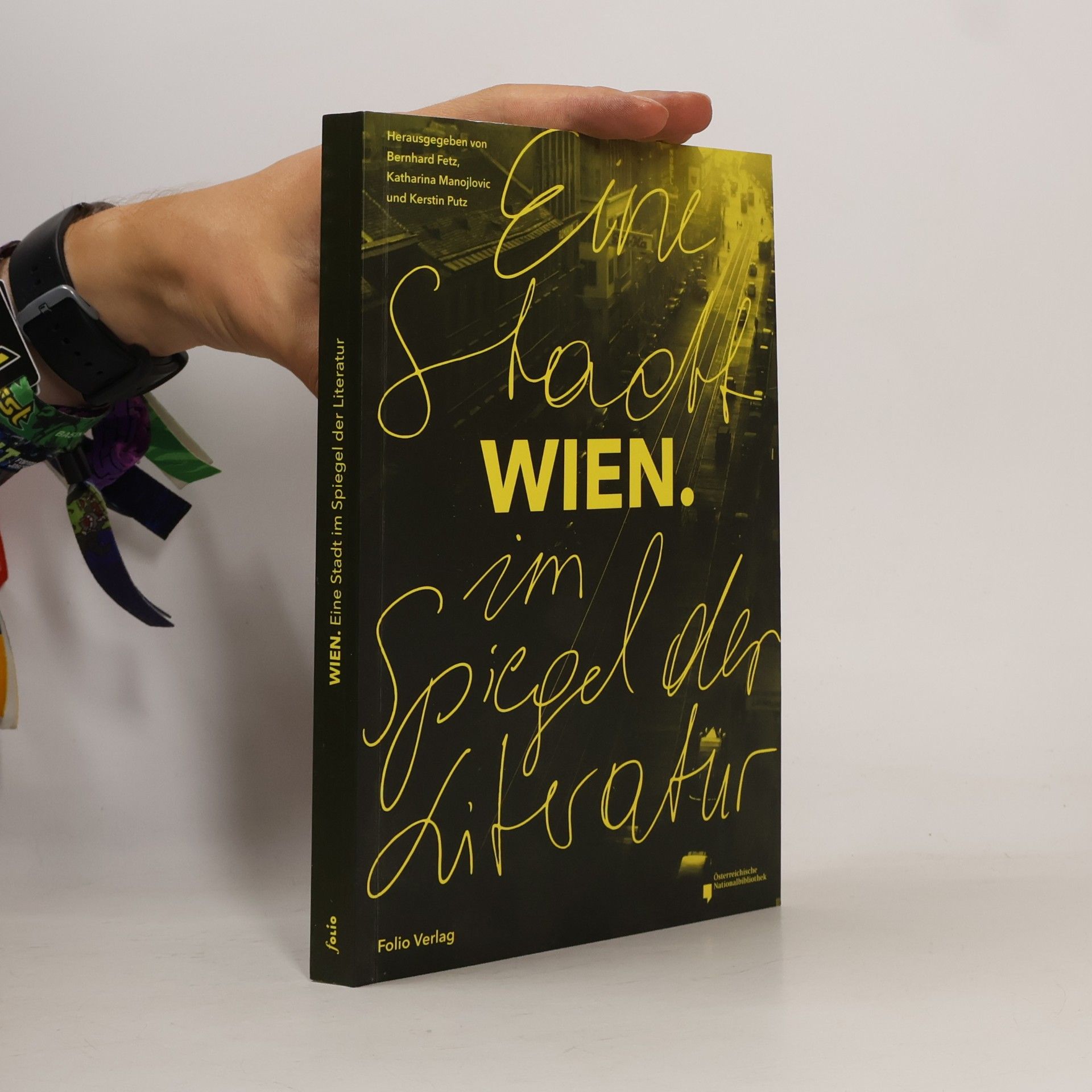Bernhard Fetz Wien - eine Stadt im Spiegel der Literatur