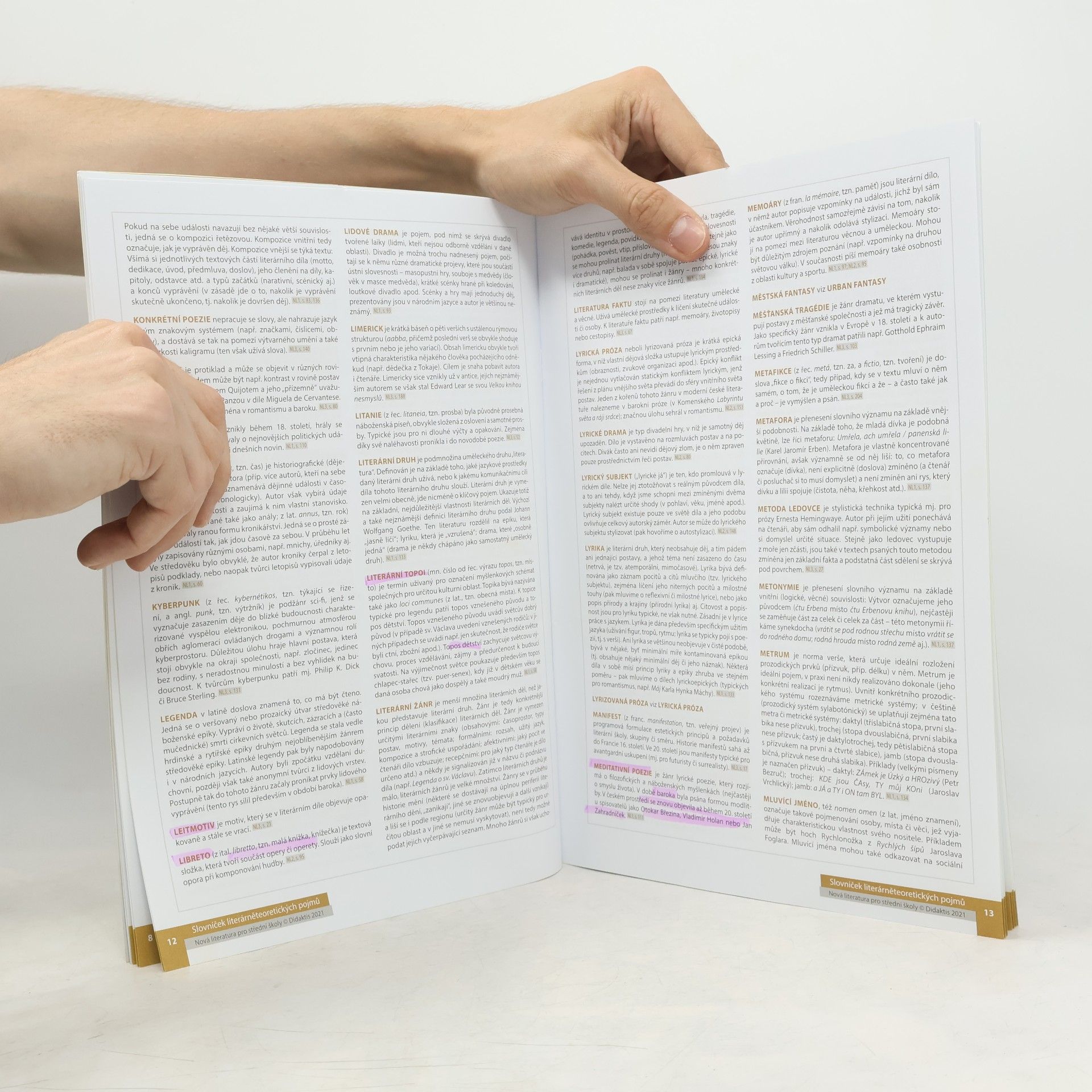 Lukáš Borovička Nová literatura pro střední školy. Přehled literárních pojmů a směrů