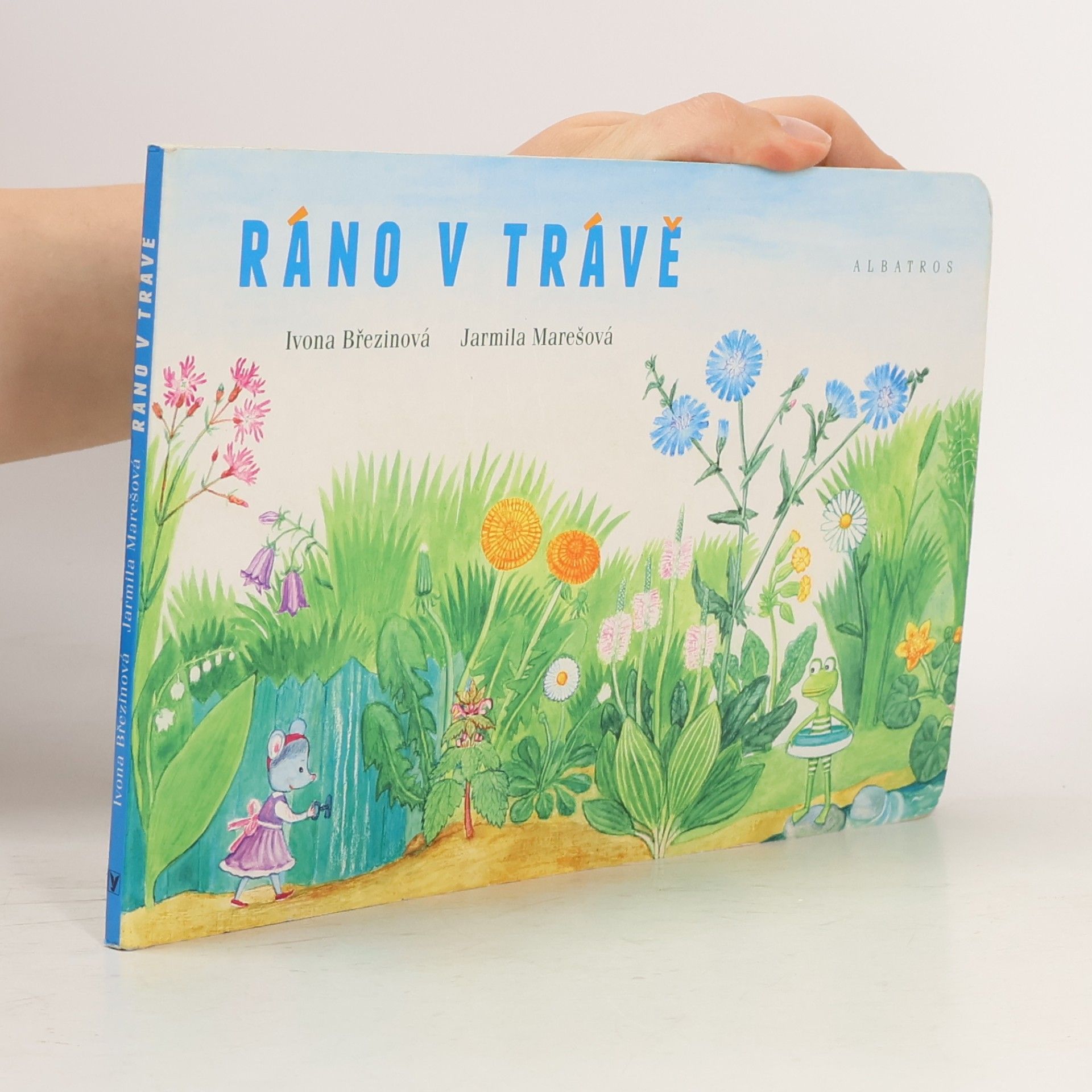 Ivona Březinová Ráno v trávě