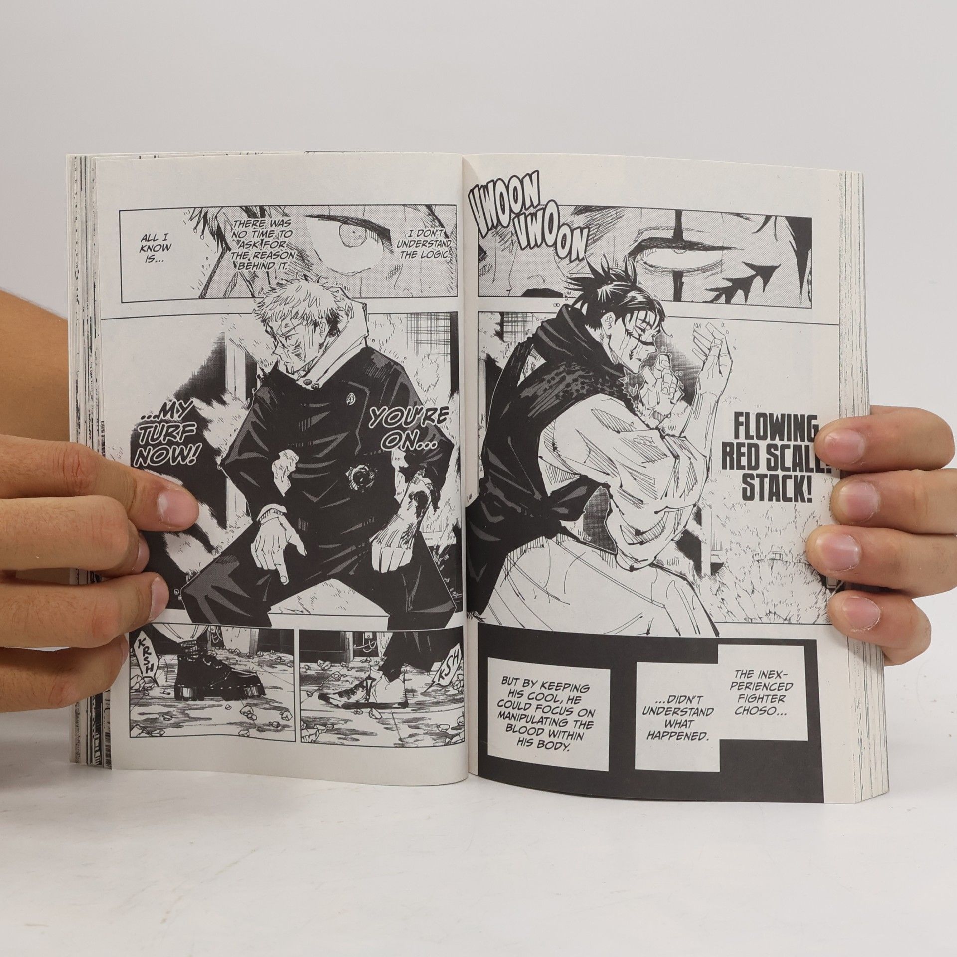 Gege Akutami Jujutsu Kaisen Volume 12