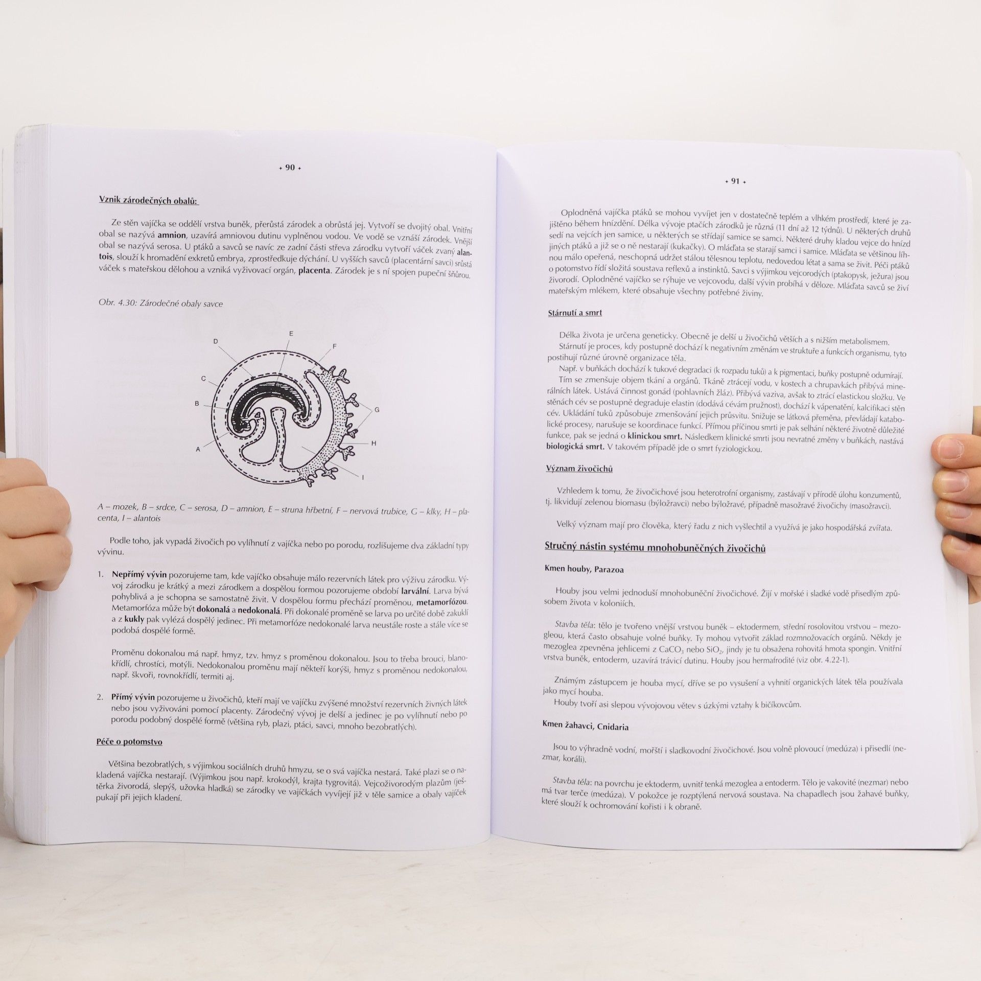 Antonín Hrůza Biologie pro zdravotnické školy