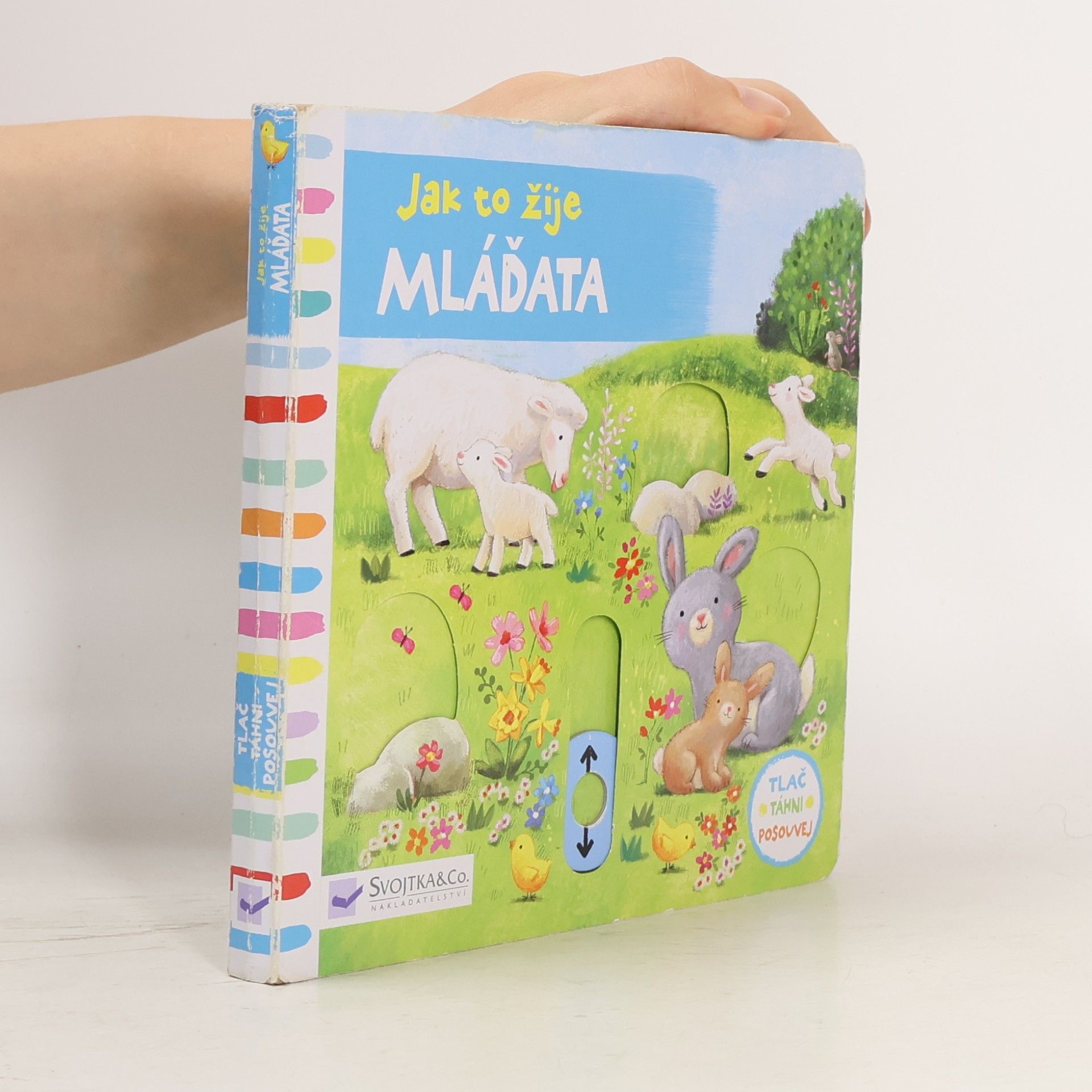 Ag Jatkowska Jak to žije mláďata