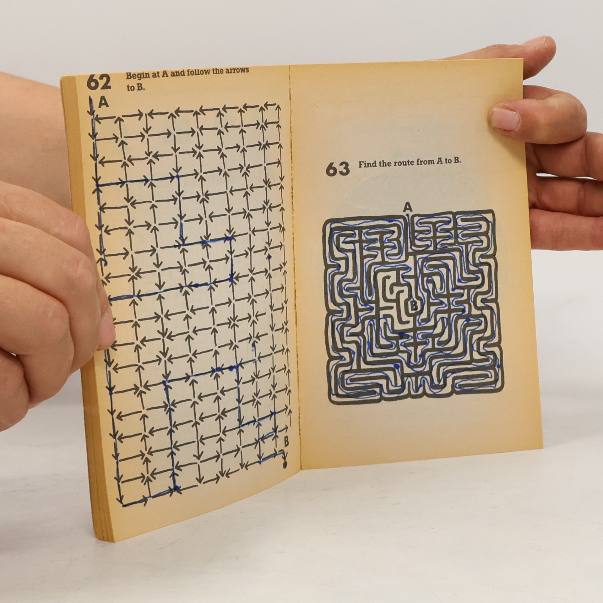 Collectif d'auteurs The Little Maze
