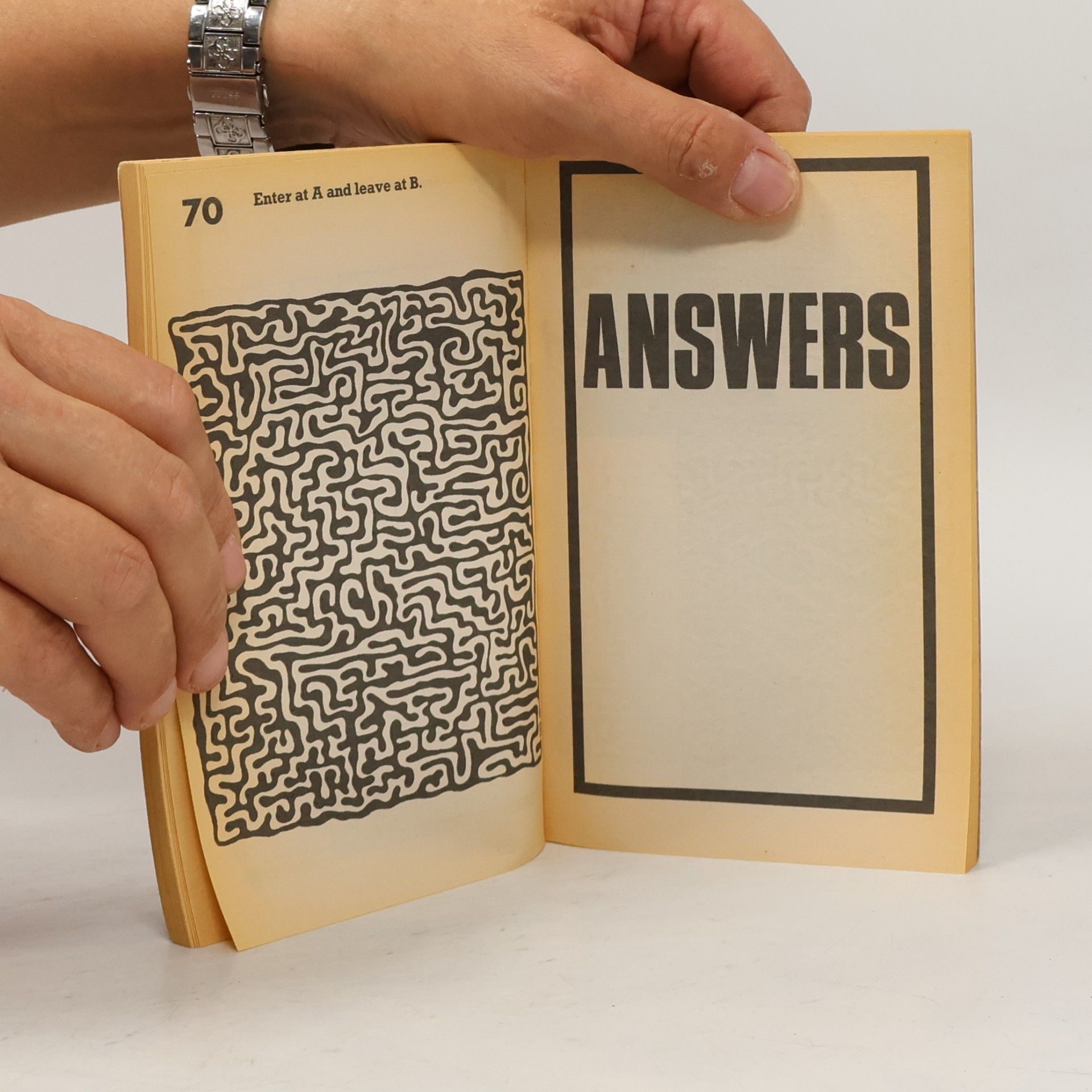 Collectif d'auteurs The Little Maze