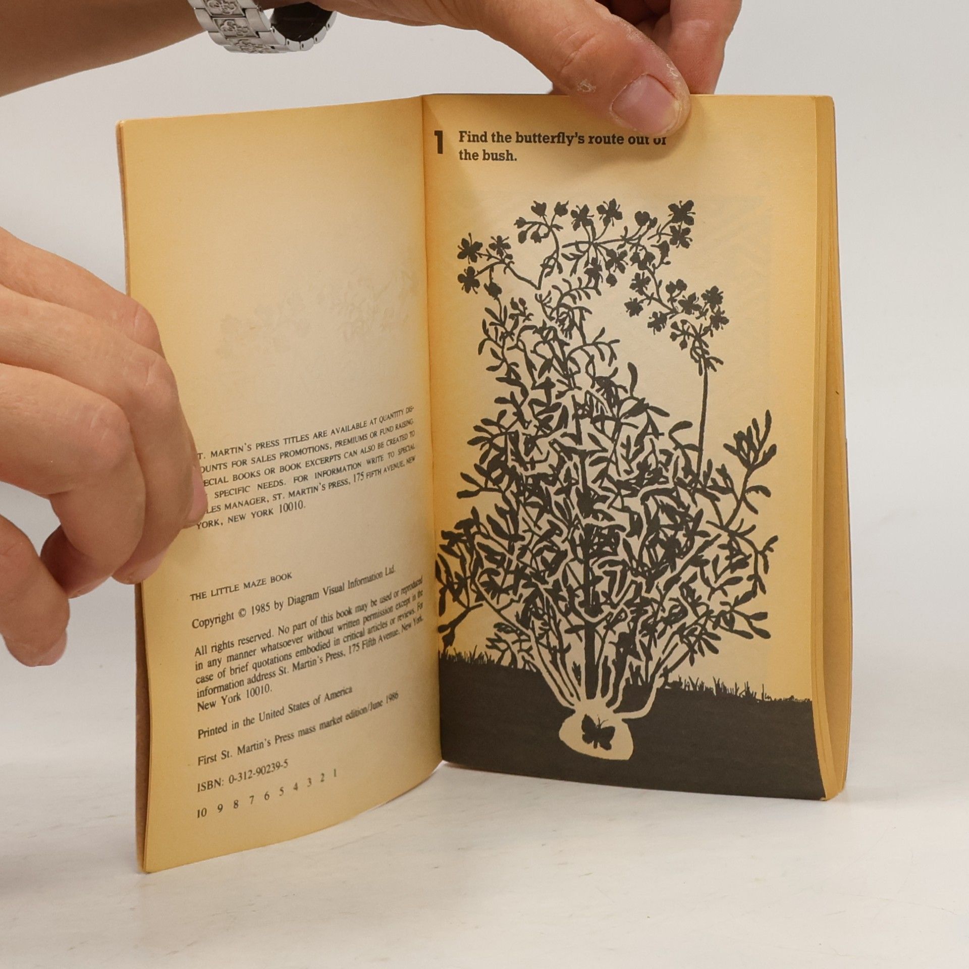 Collectif d'auteurs The Little Maze