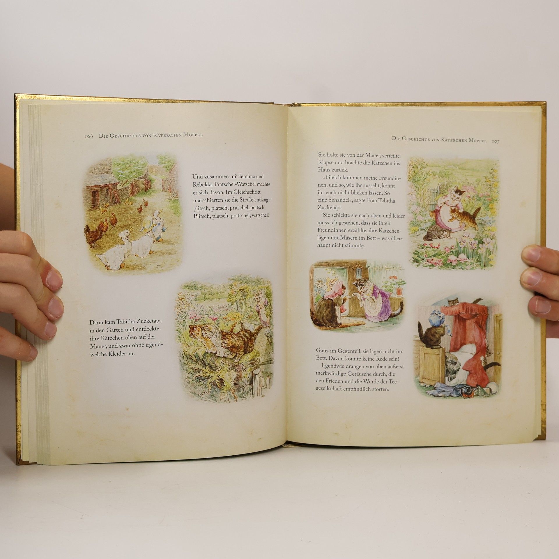 Beatrix Potter Peter Hase und seine Freunde