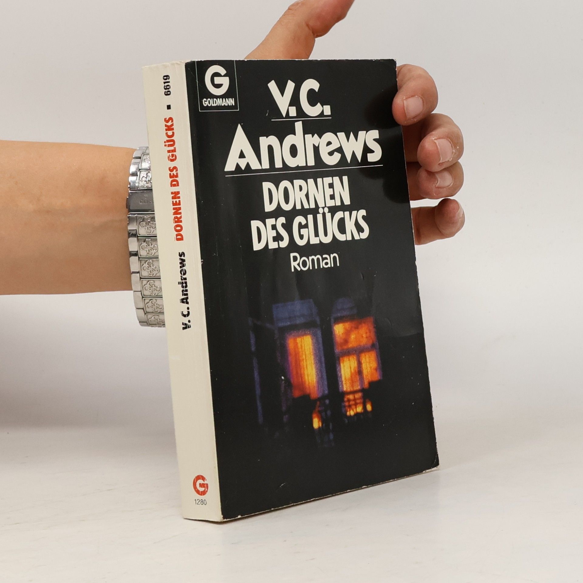V. C. Andrews Dornen des Glücks