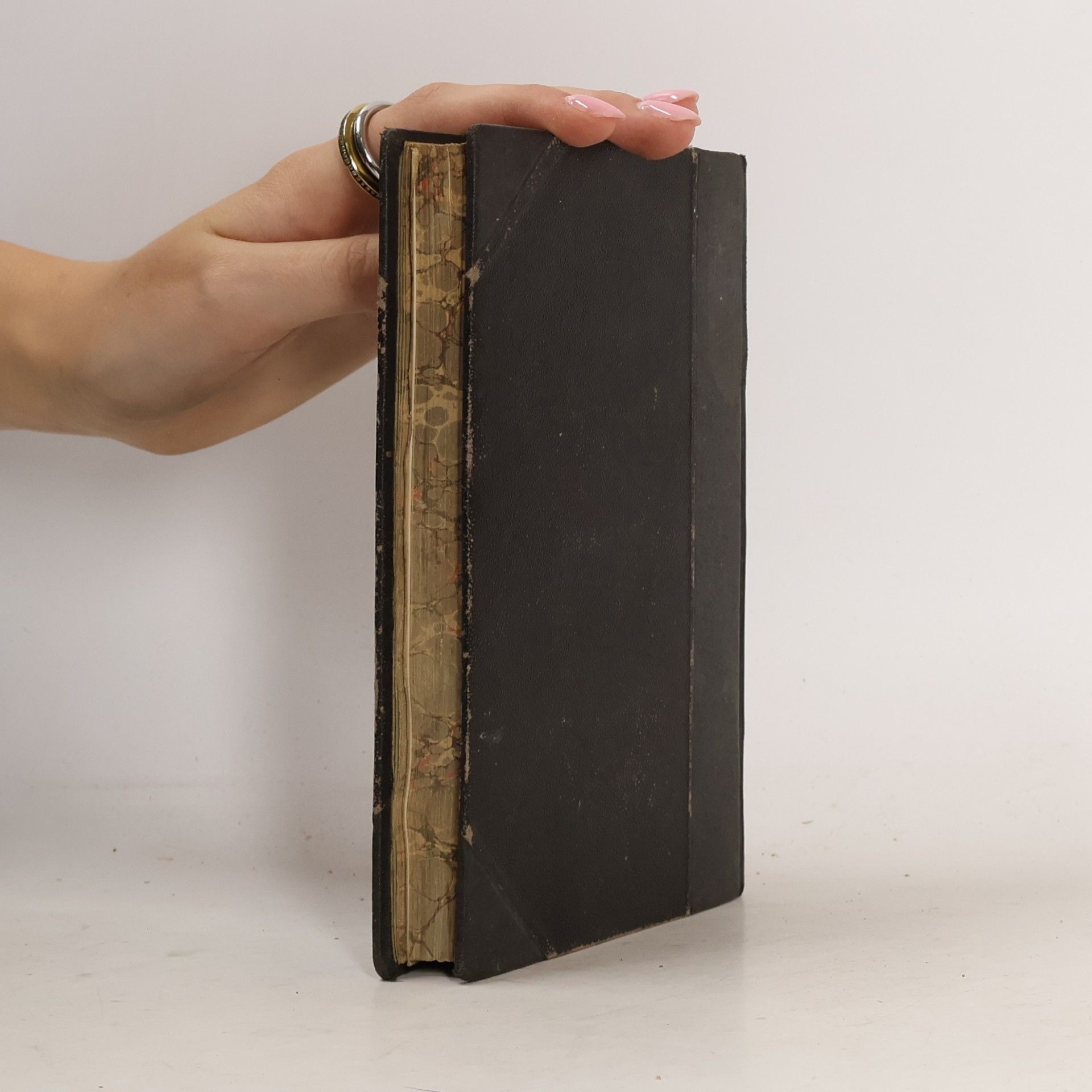 Antonín Trýb Před branami východu