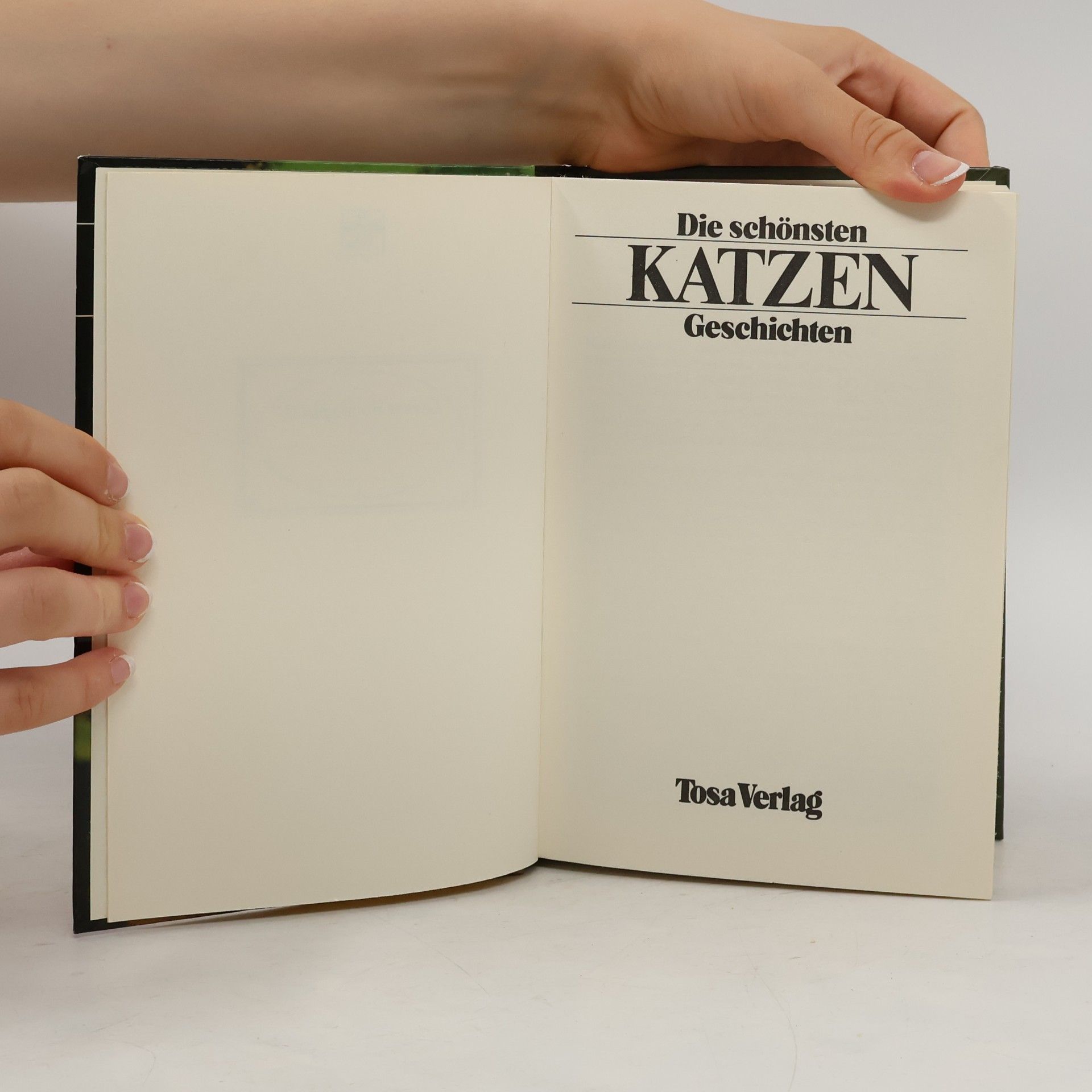 Autorenkollektiv Die schönsten Katzen Geschichten