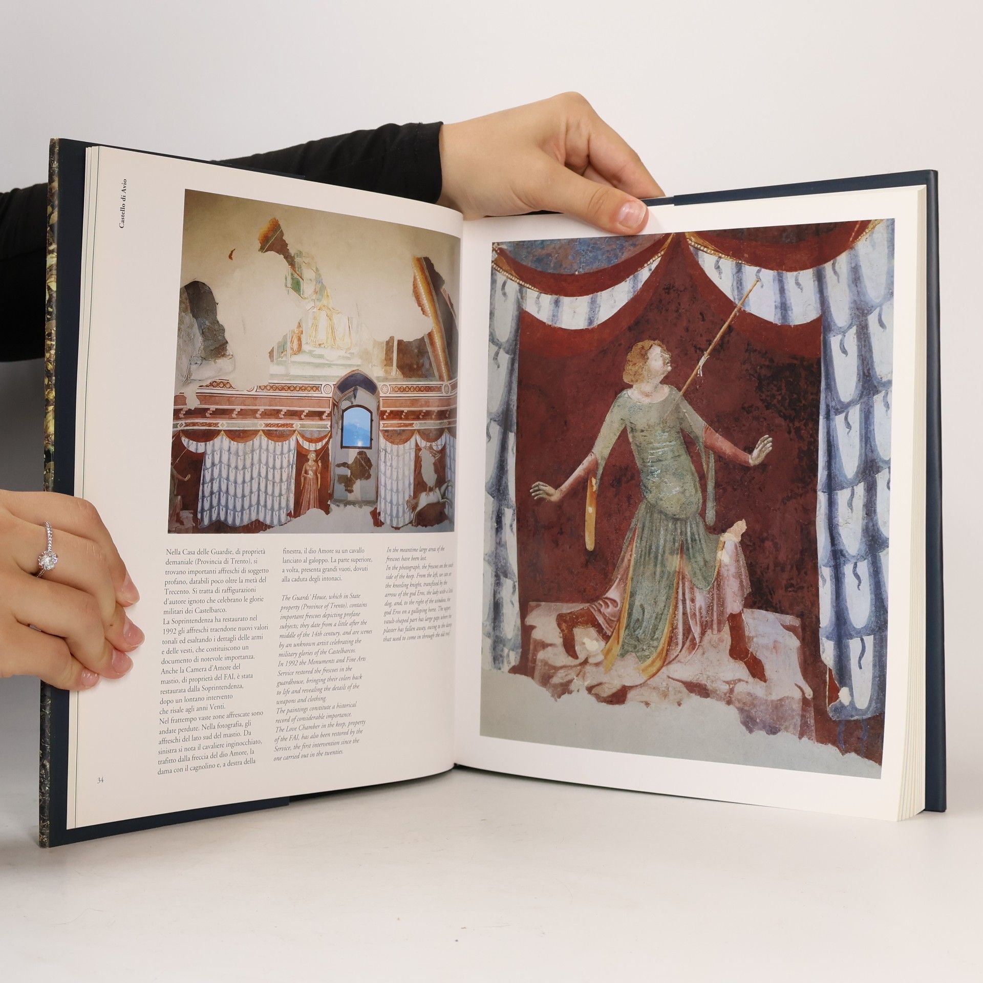 Autorenkollektiv Il libro del FAI