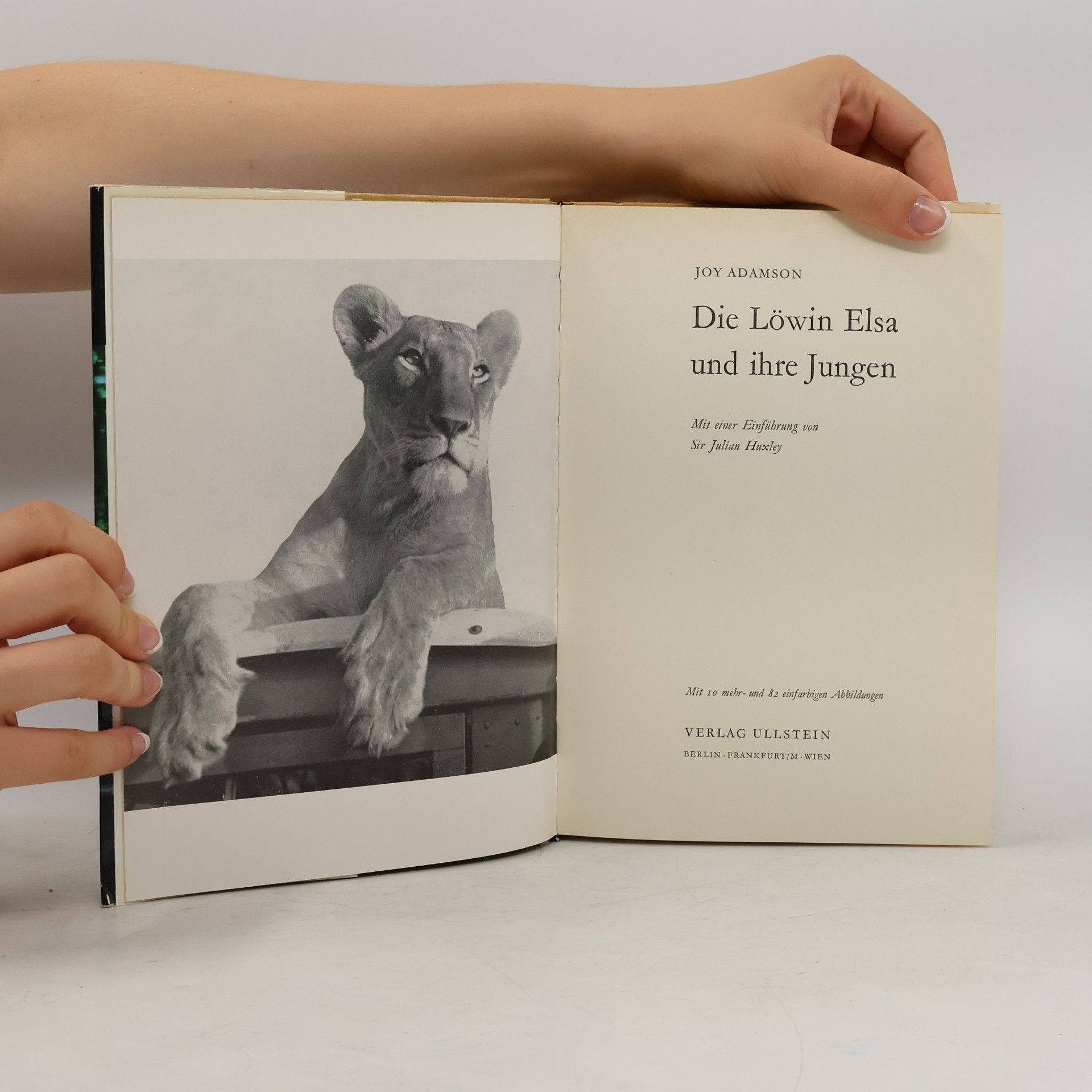 Joy Adamson Die Löwin Elsa und ihre Jungen