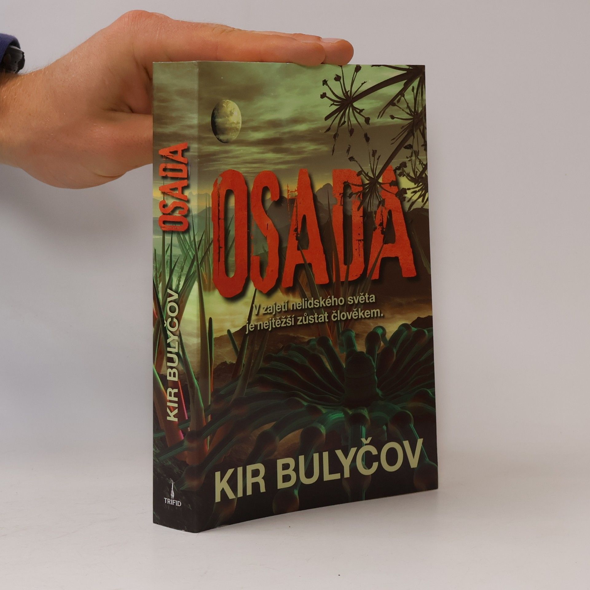 Osada