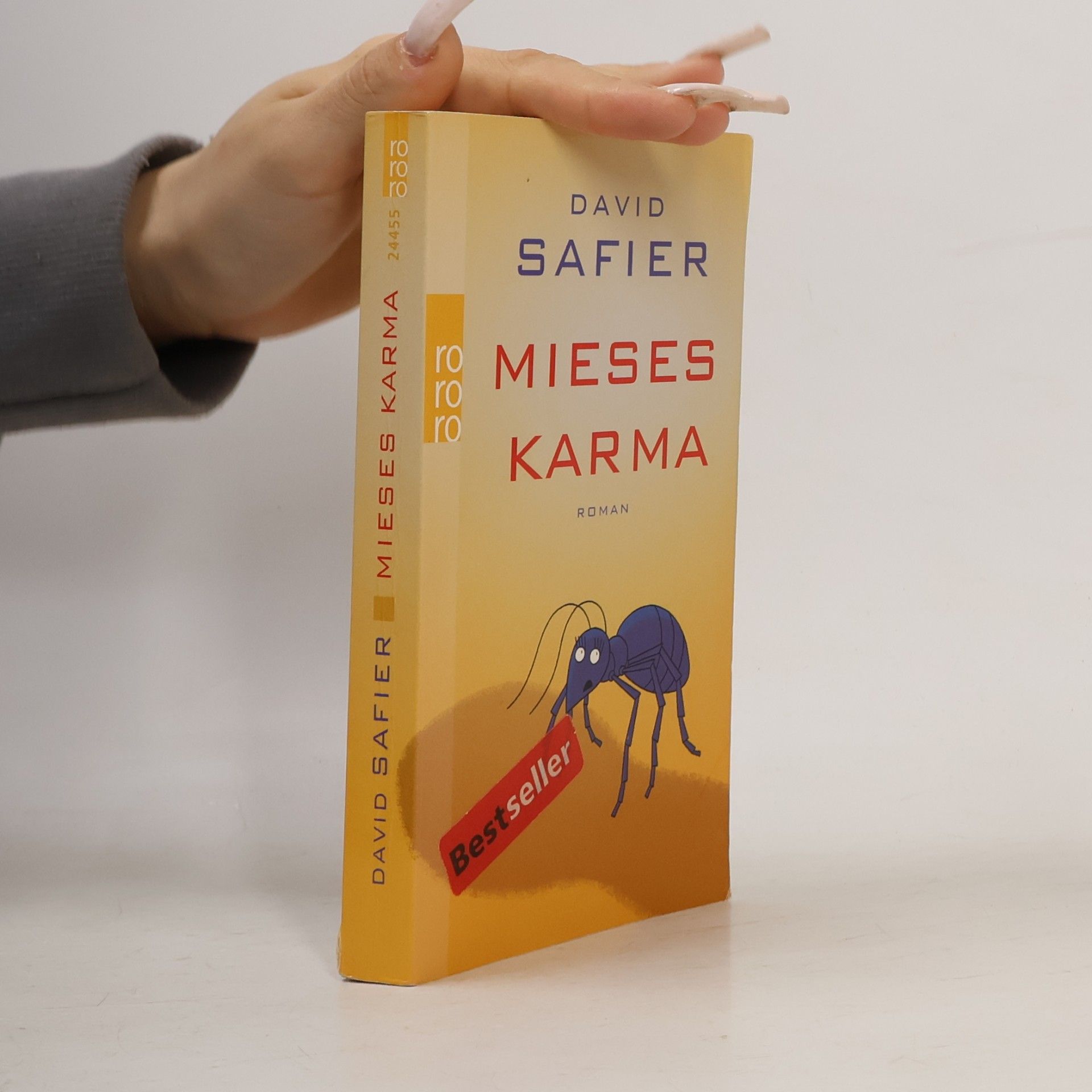 David Safier Mieses Karma