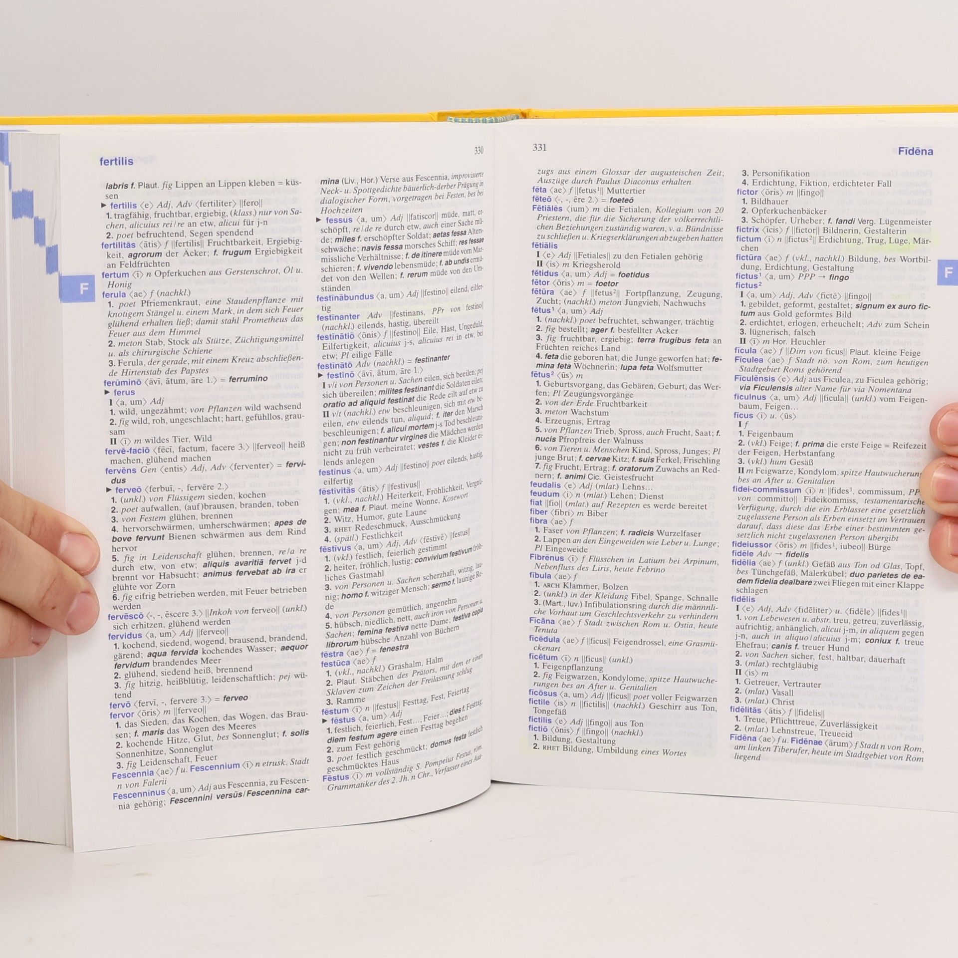 Kolektiv autorů Großes Schulwörterbuch Lateinisch-Deutsch