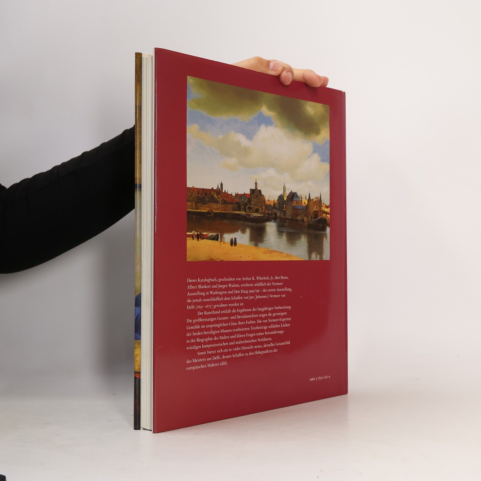 Johannes Vermeer Vermeer
