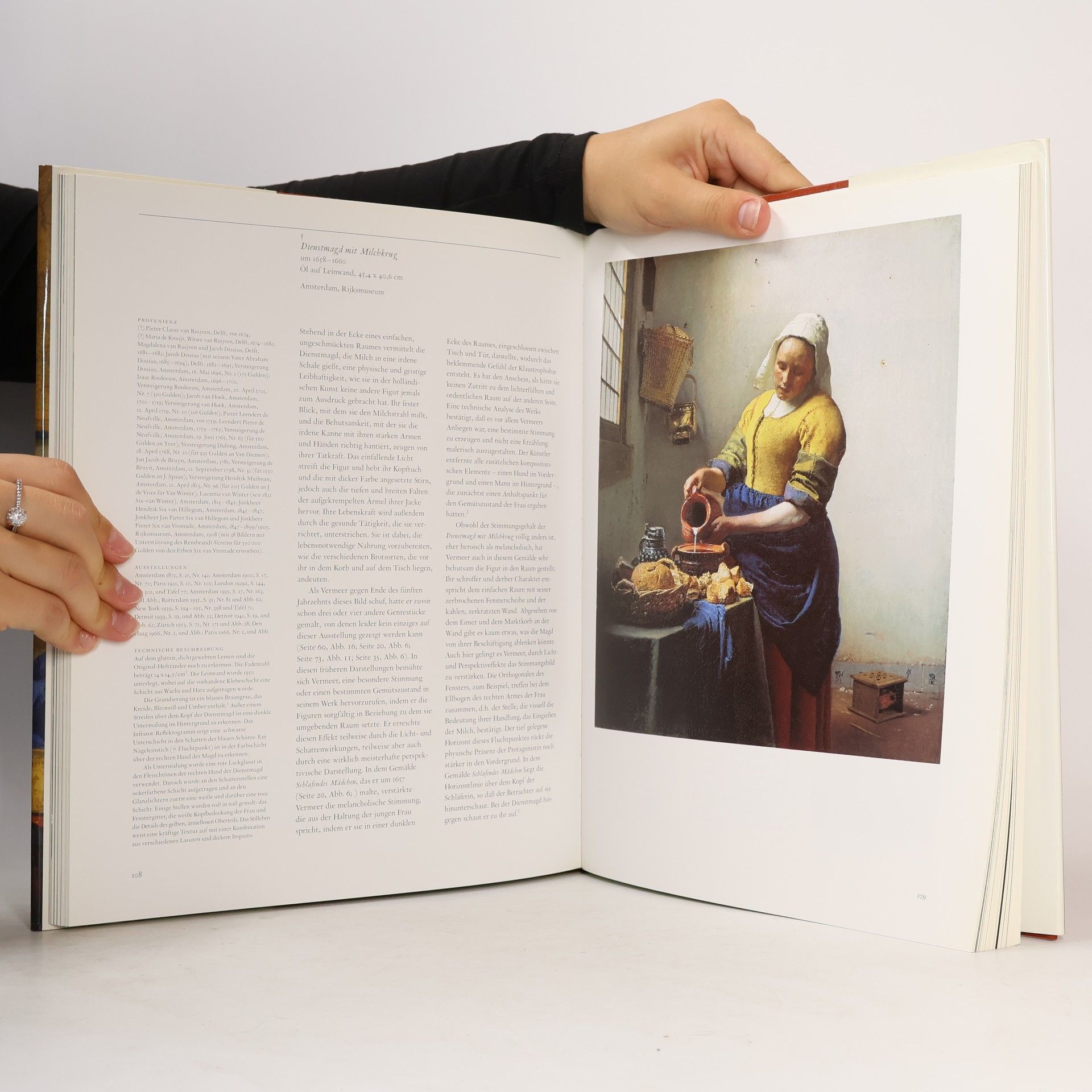 Johannes Vermeer Vermeer