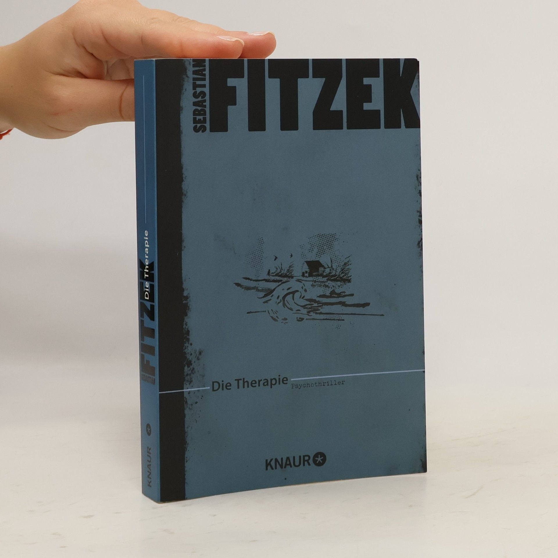 Sebastian Fitzek Die Therapie