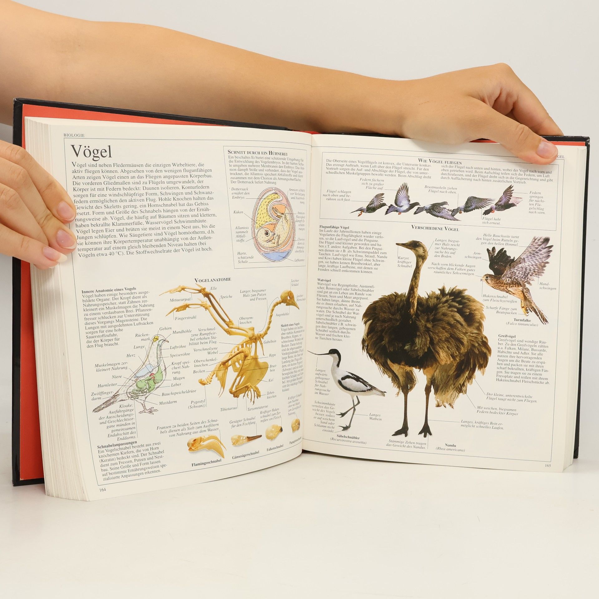 Armin Preisler Das visuelle Lexikon der Naturwissenschaften