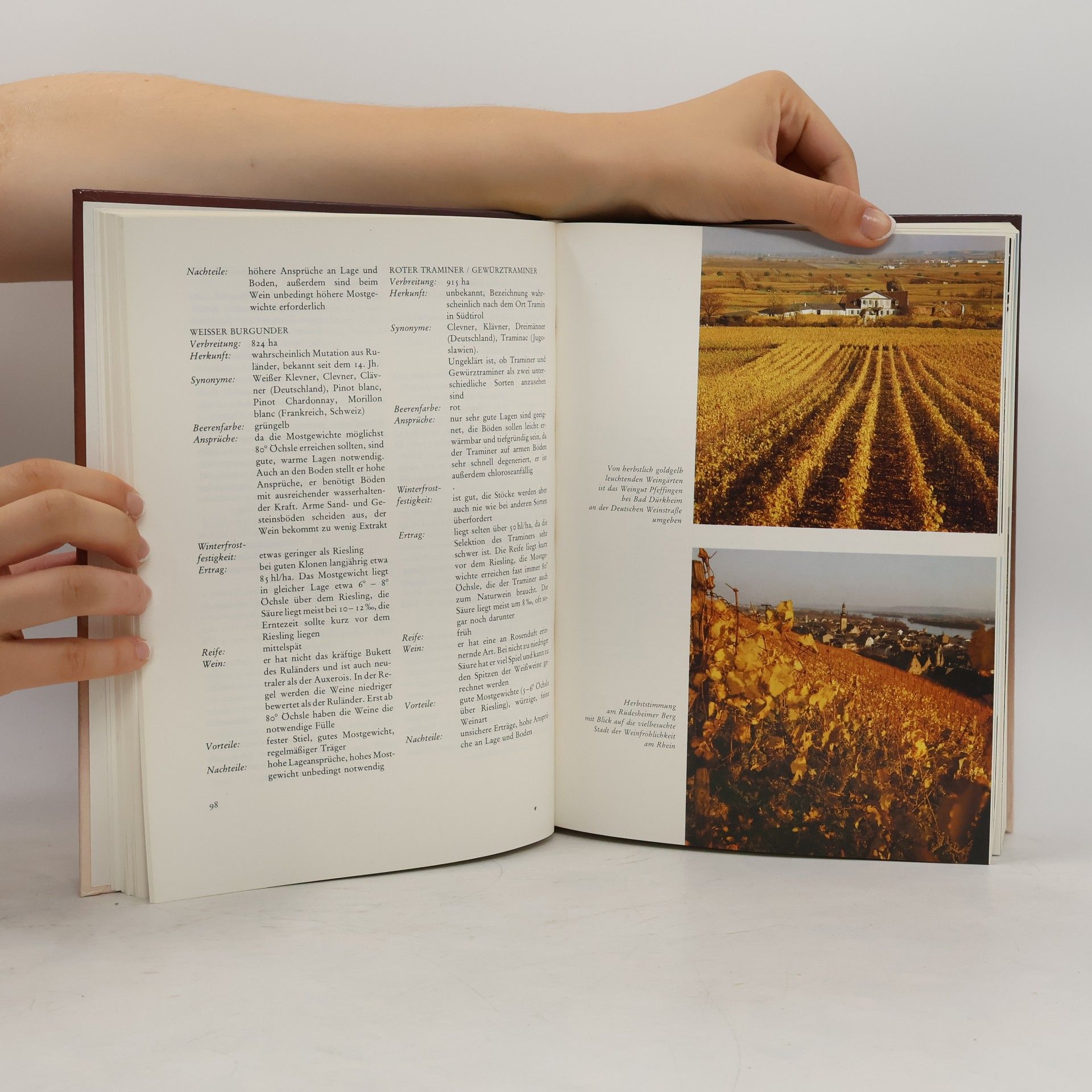 Heinz-Gert Woschek Das Weinbuch