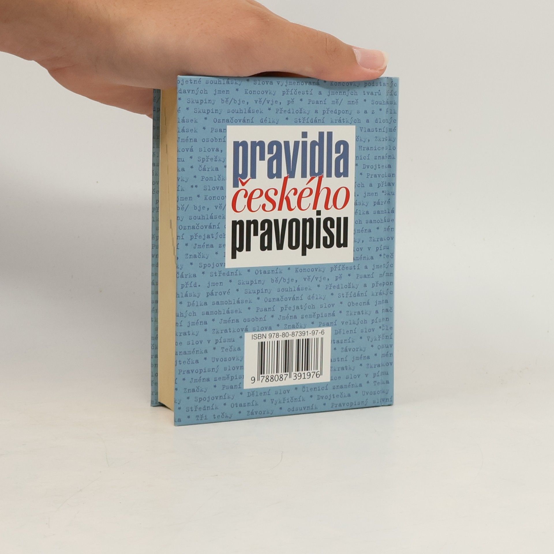 Autorenkollektiv Pravidla českého pravopisu