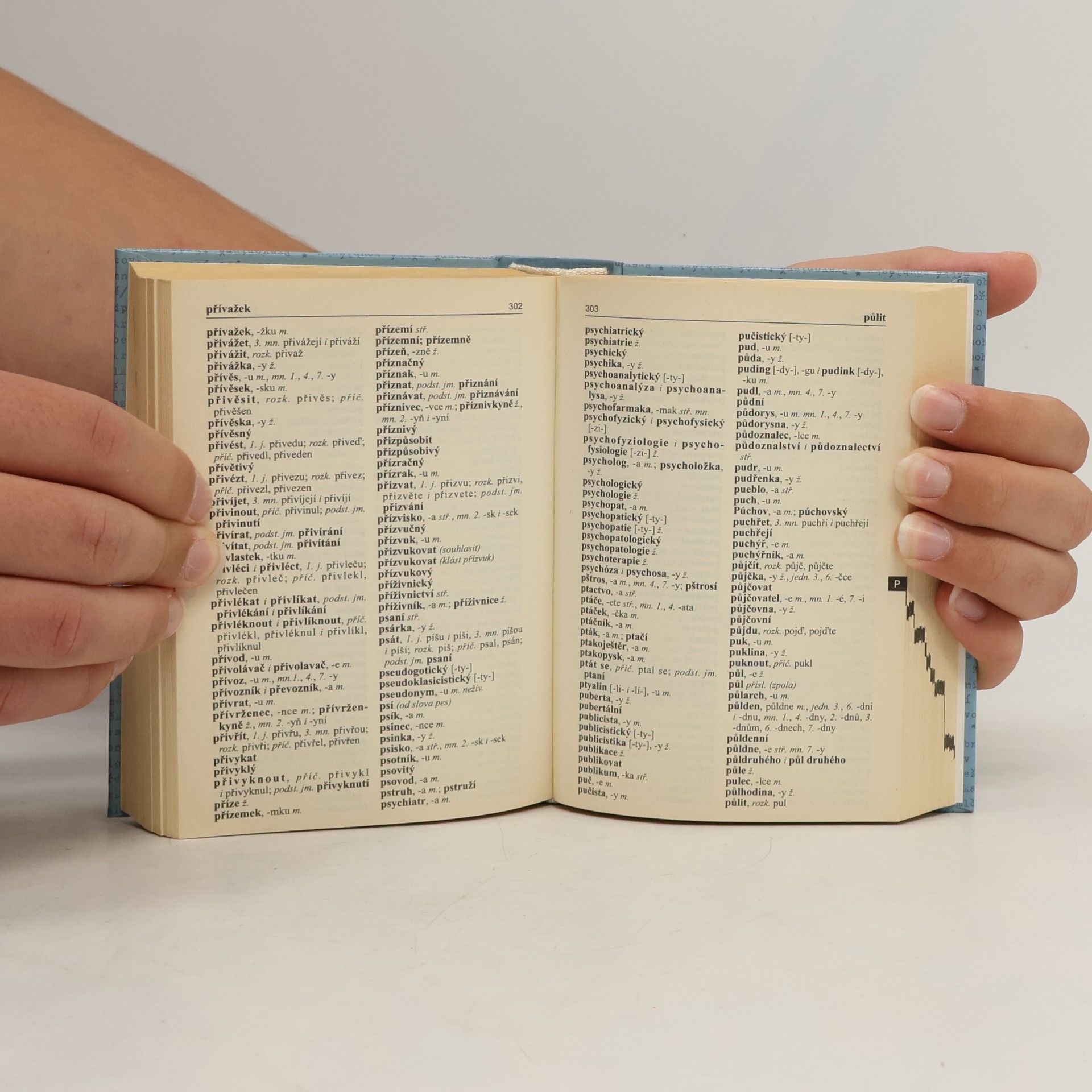 Autorenkollektiv Pravidla českého pravopisu