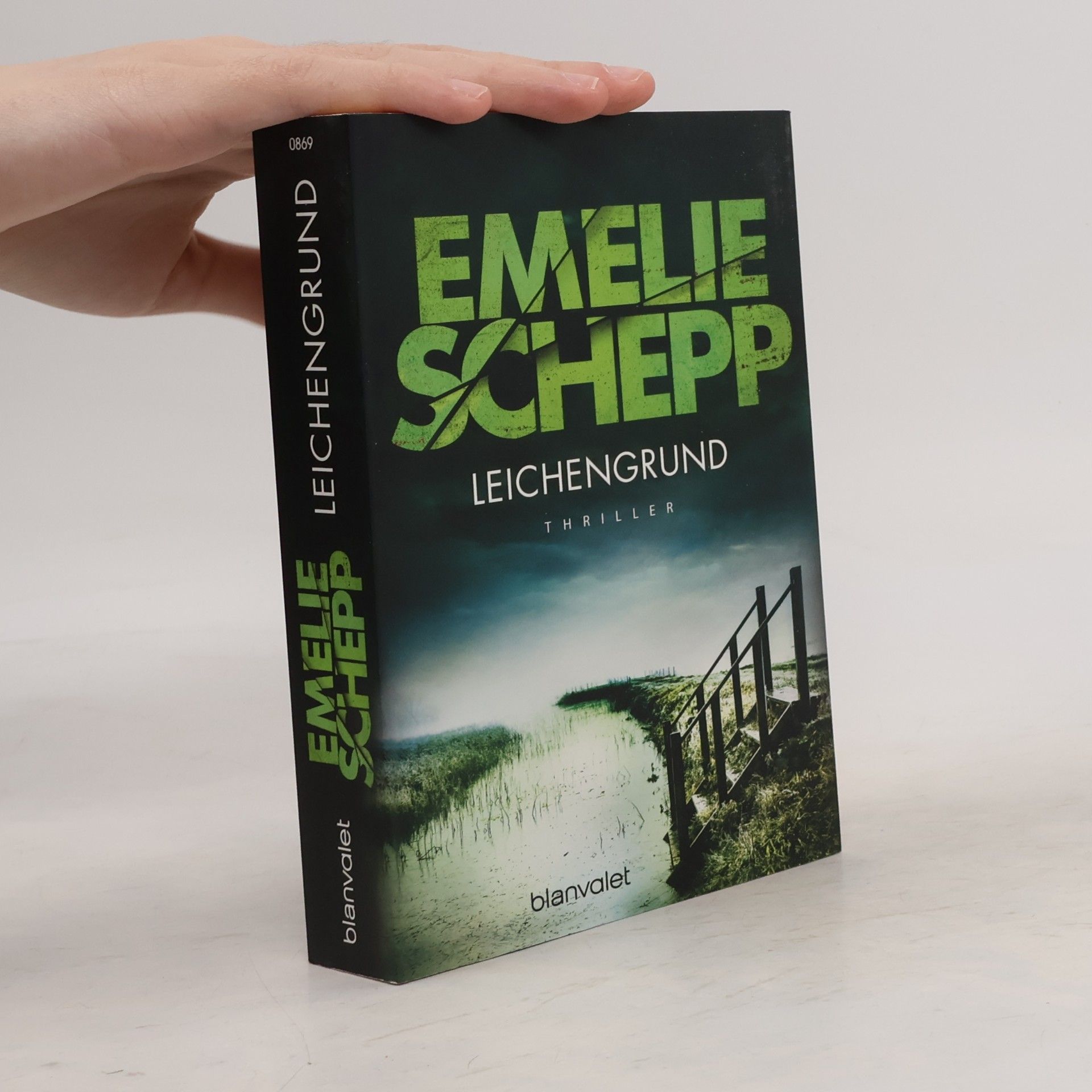Emelie Schepp Leichengrund