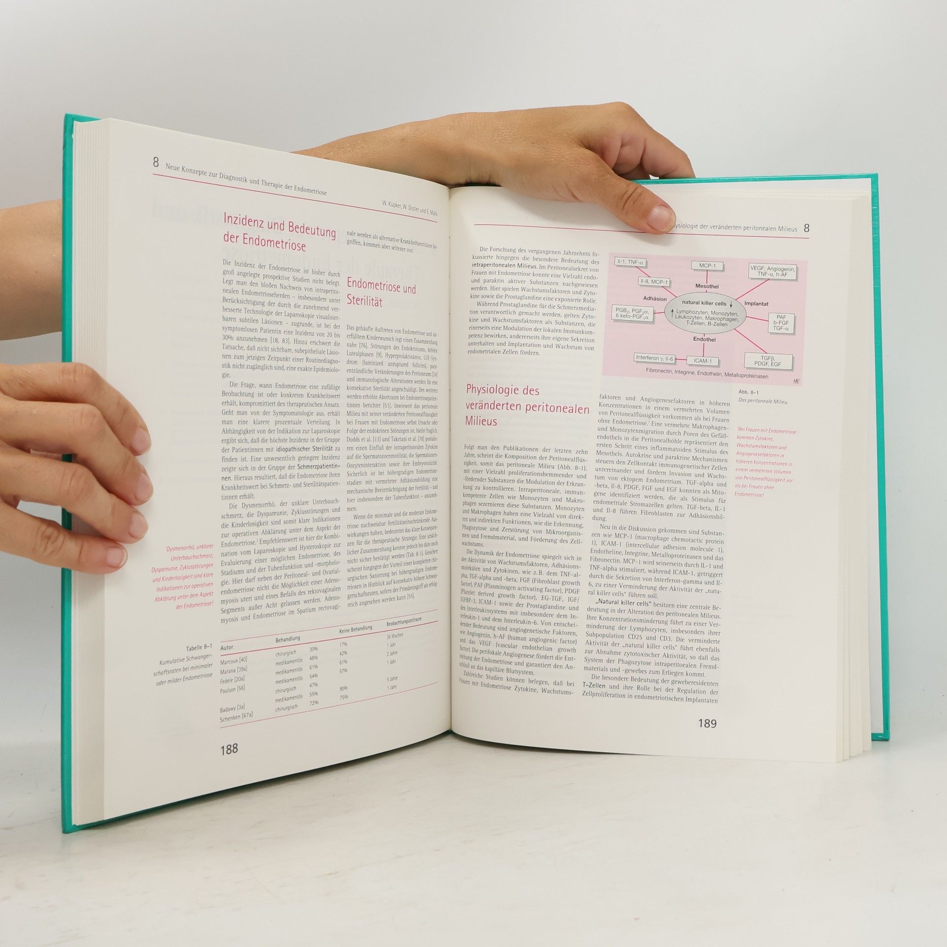 Hans G. Bender Klinik der Frauenheilkunde und Geburtshilfe - 8: Gutartige gynäkologische Erkrankungen I - 4. Auflage