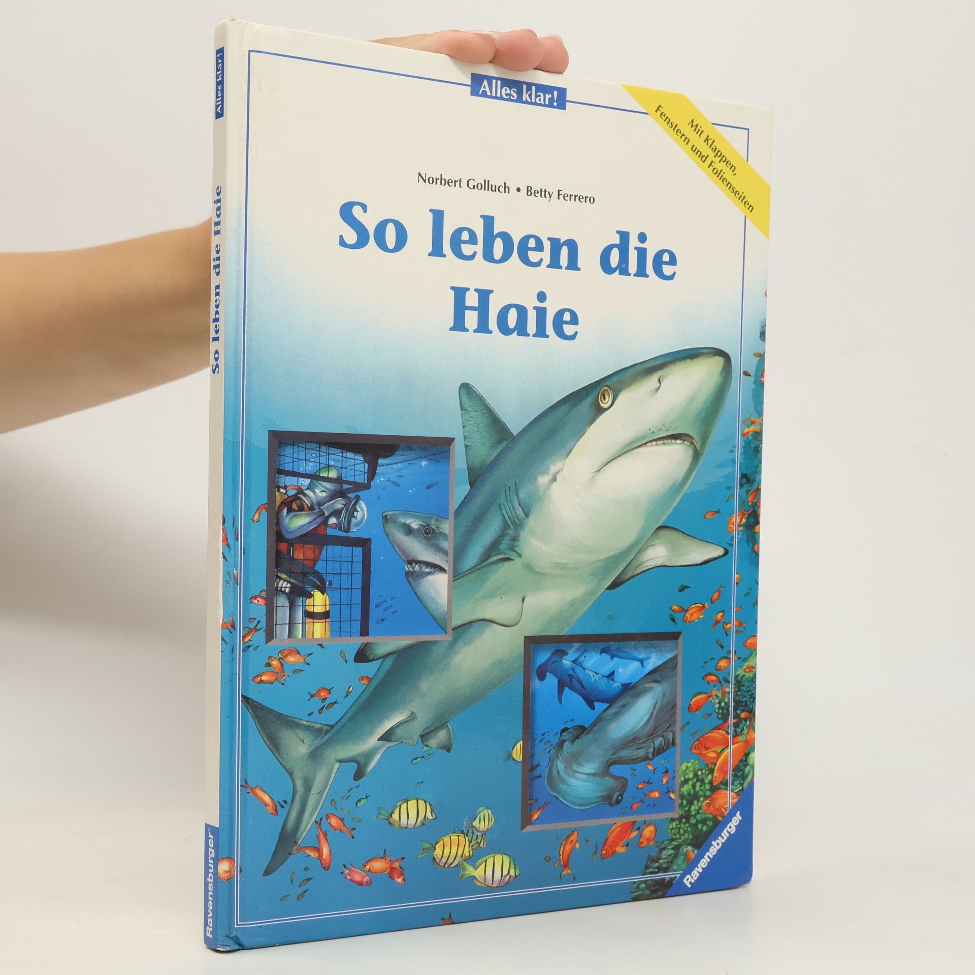 Betty Ferrero So leben die Haie