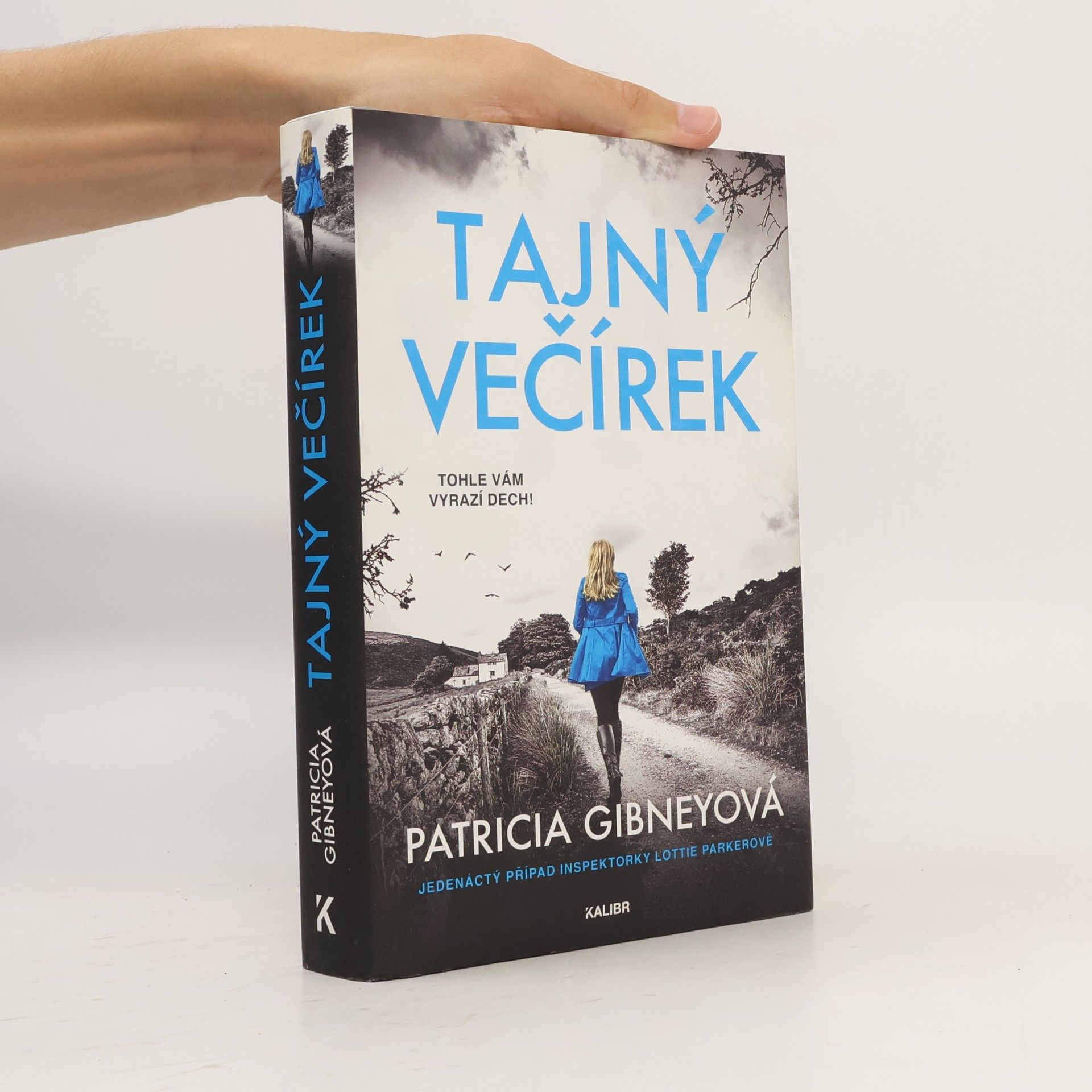 Patricia Gibney Tajný večírek