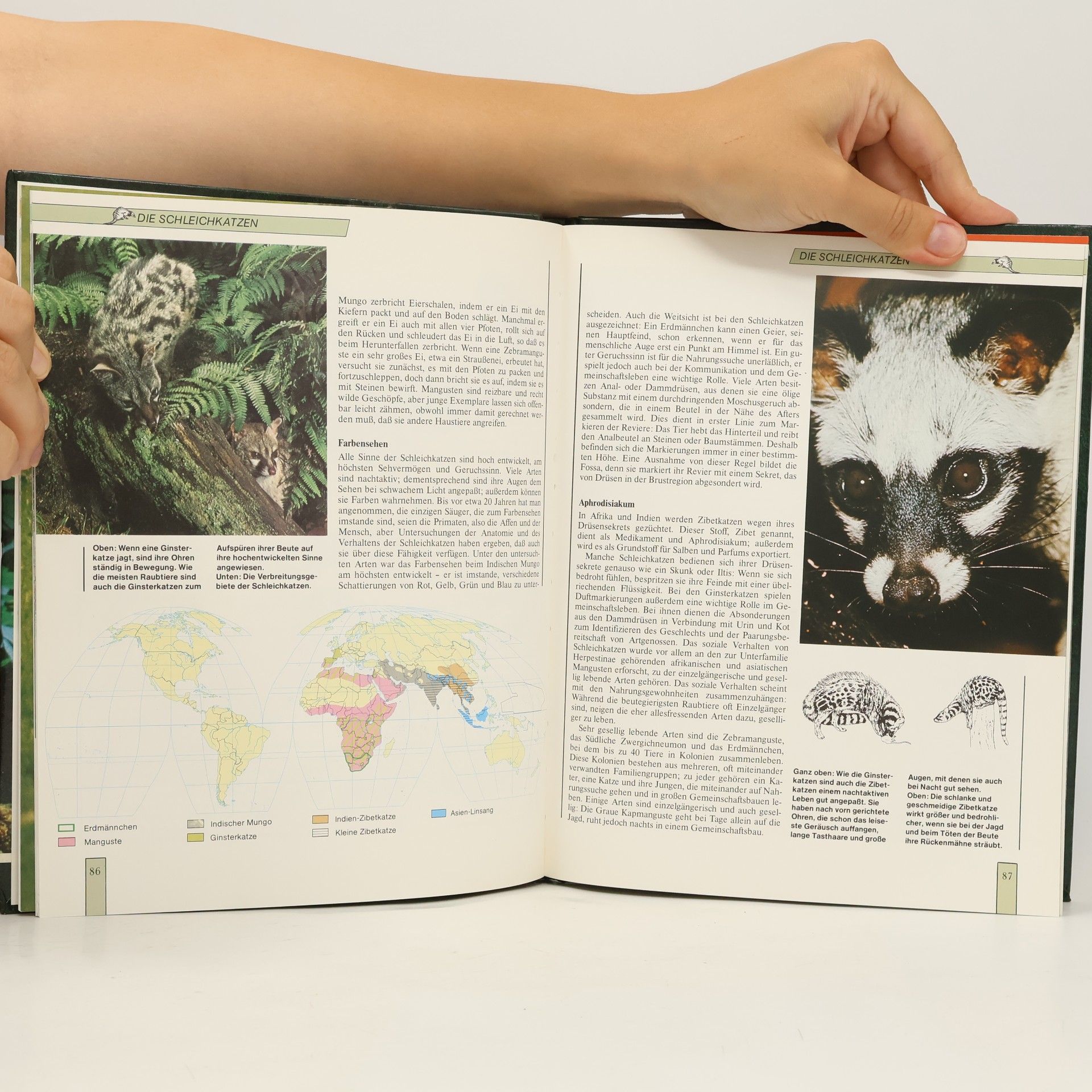 Various authors Lebendiges Tierreich Band 2