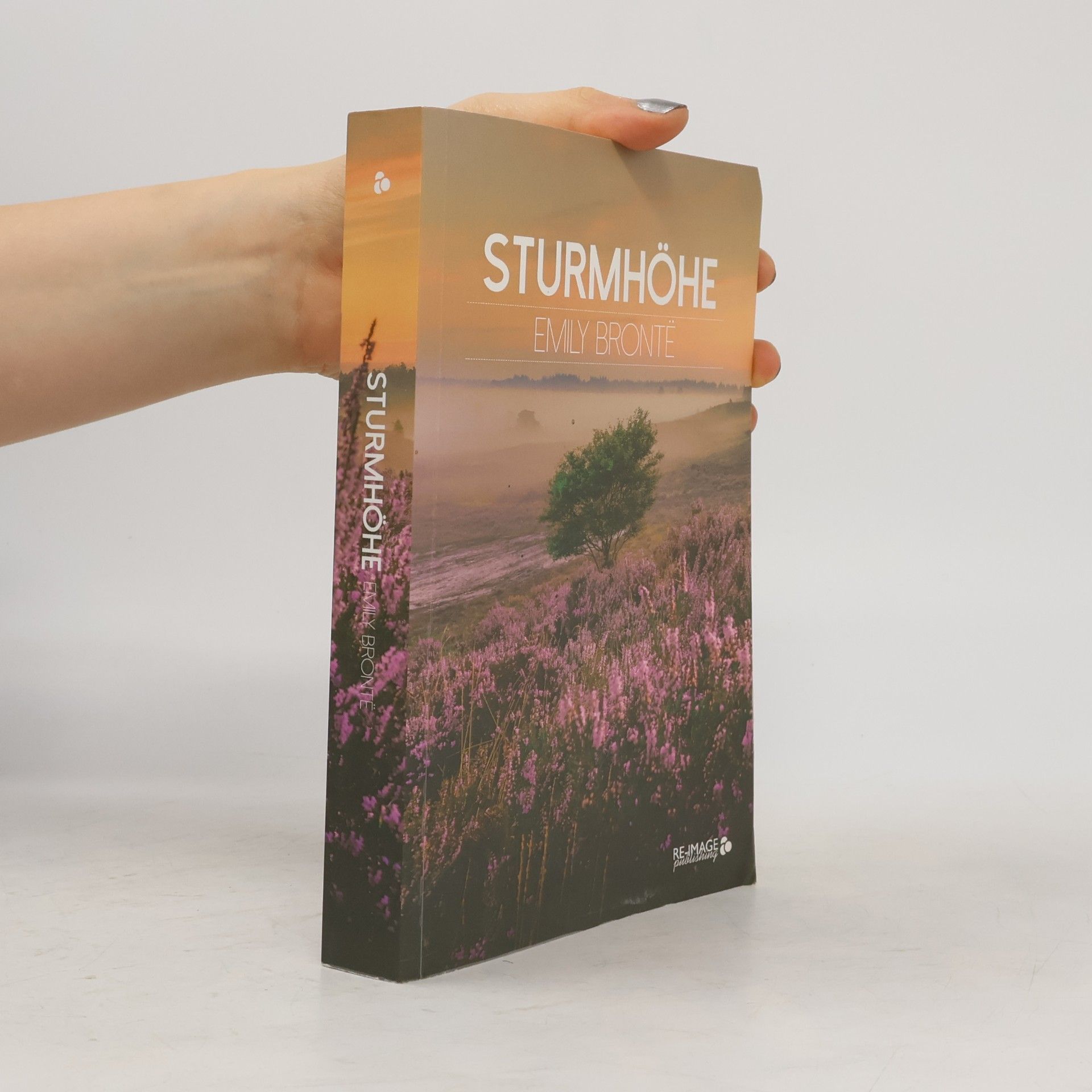 Emily Brontë Sturmhöhe