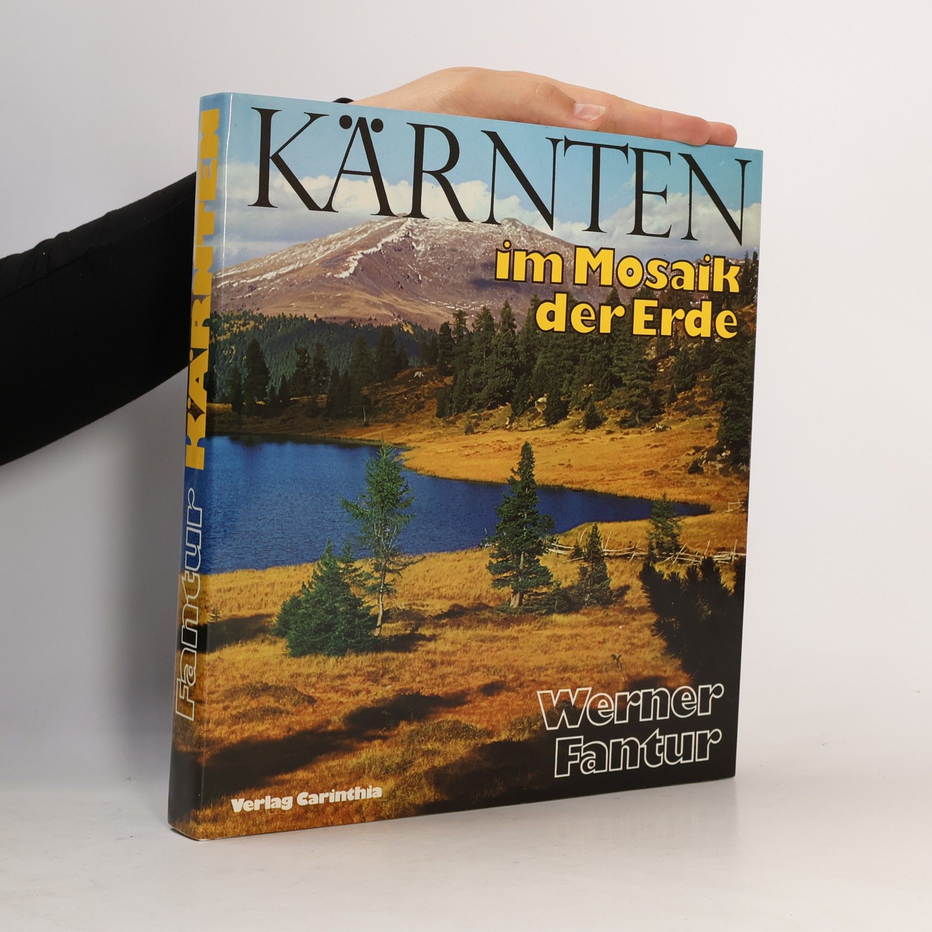 Werner Fantur Kärnten im Mosaik der Erde