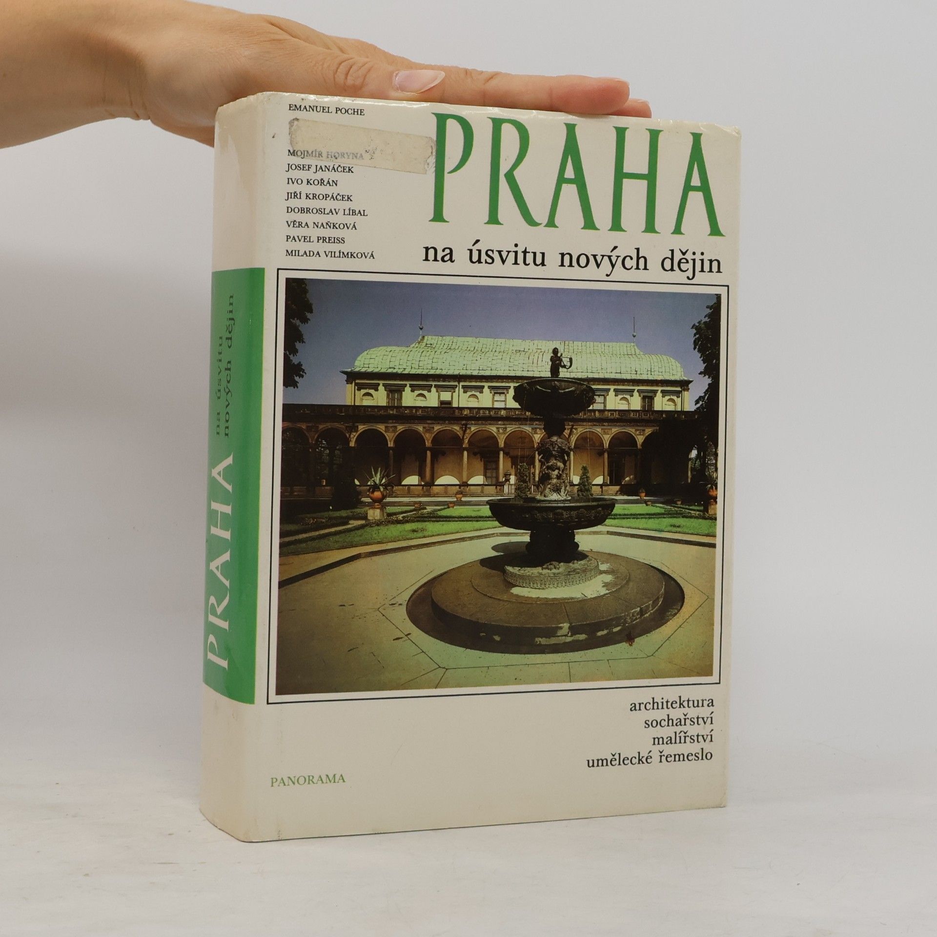 Praha na úsvitu nových dějin