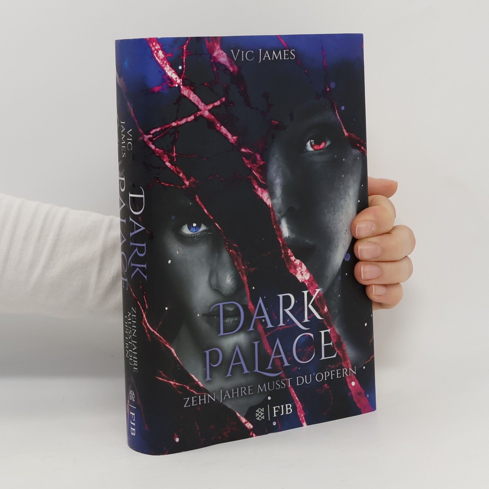 Vic James Dark palace - zehn Jahre musst du opfern