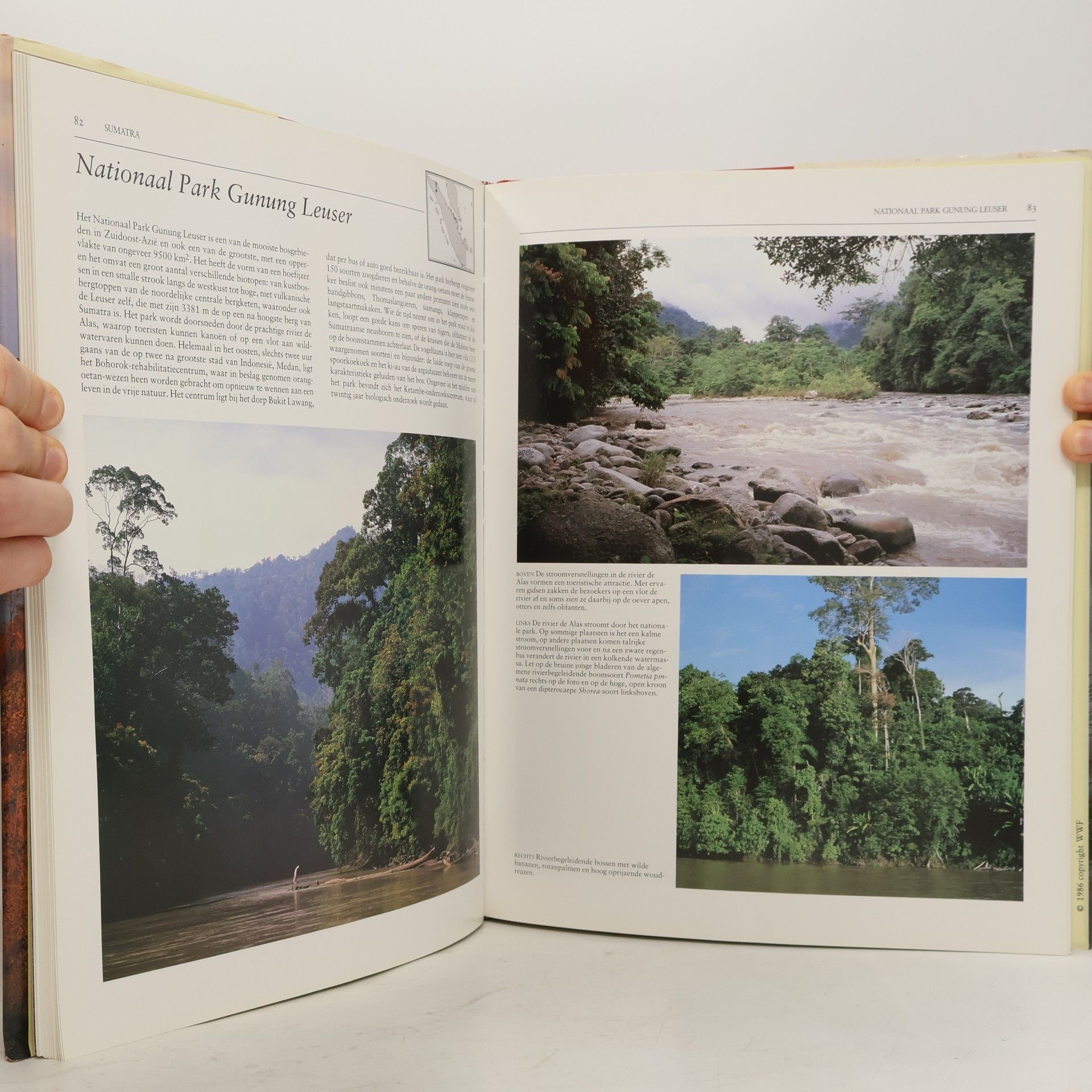 Gerald Cubitt Ongerept Indonesië