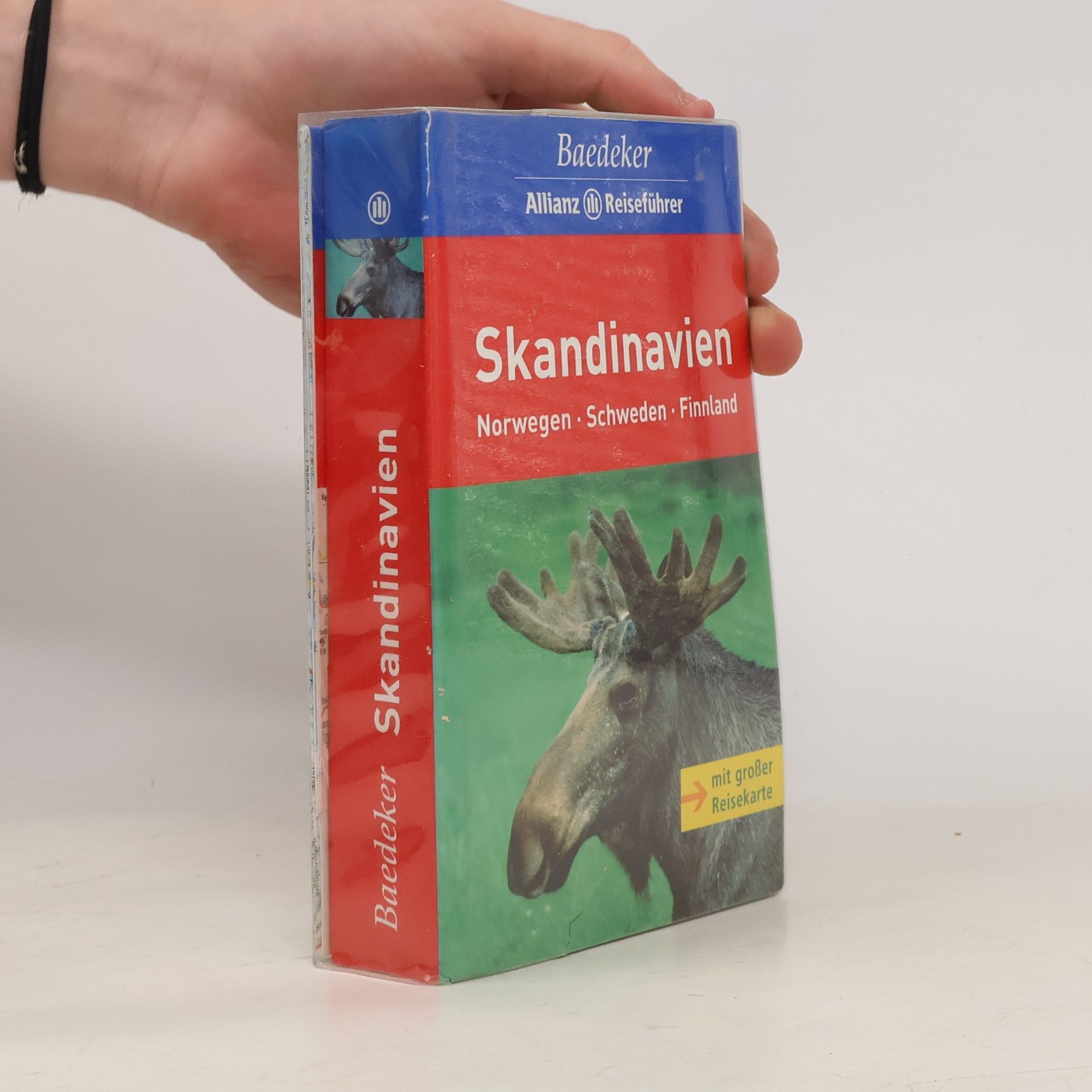P. Almoslechner Skandinavien