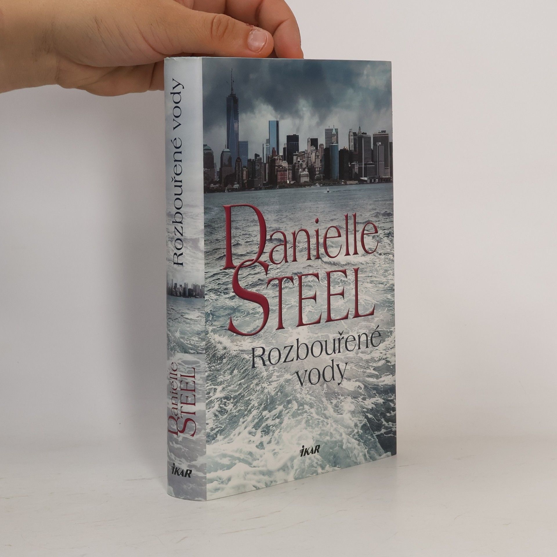 Danielle Steel Rozbouřené vody