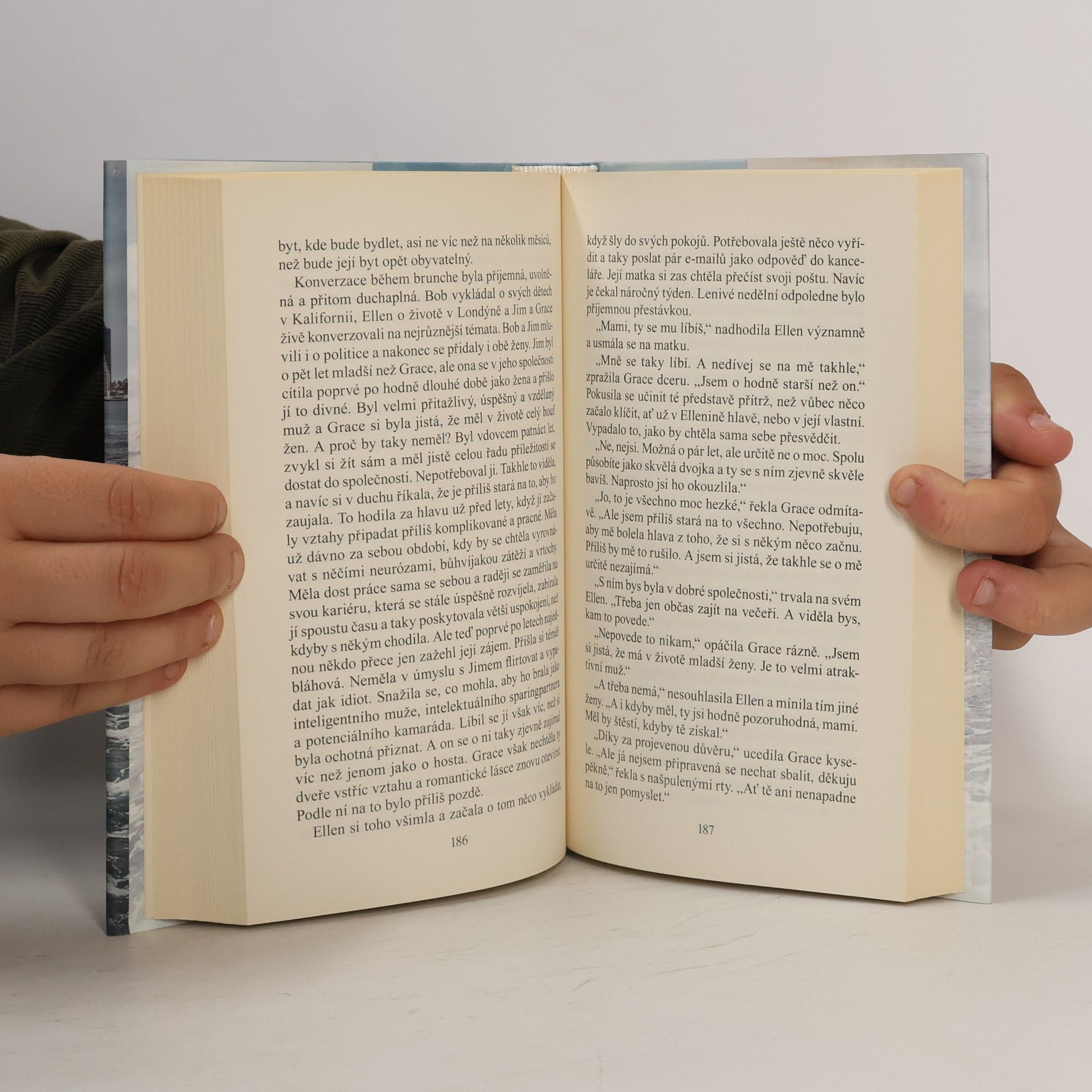 Danielle Steel Rozbouřené vody