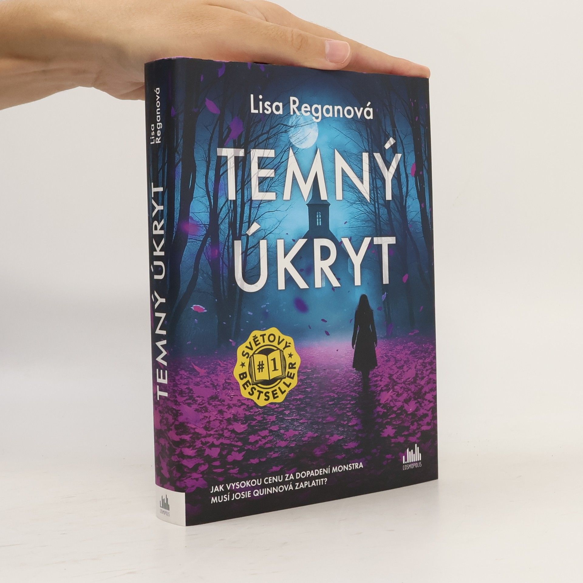 Lisa Regan Temný úkryt